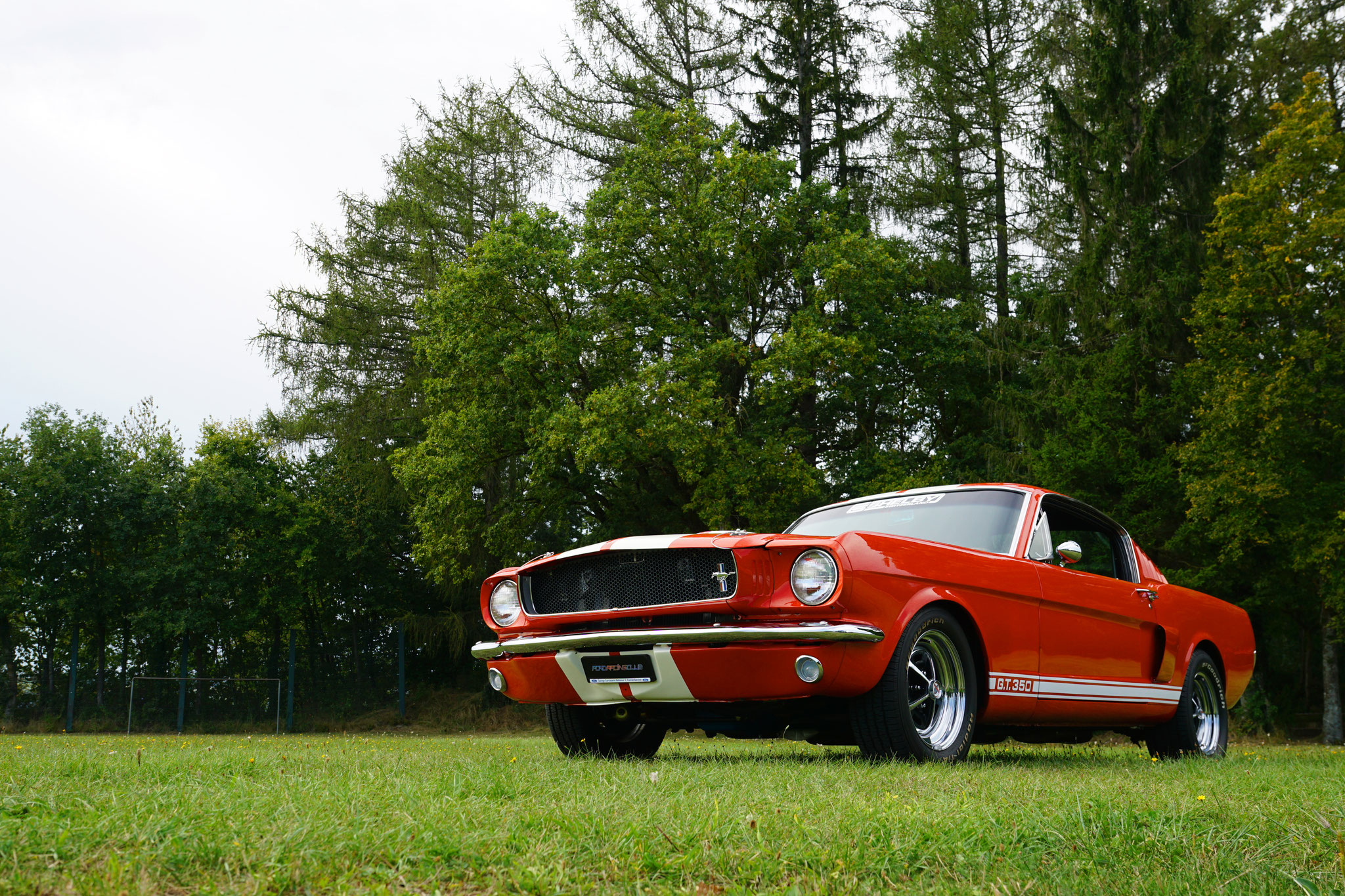 "ma Mustang GT350 '65 à l'état sauvage, dans la verdoyante campagne Vaudoise..."