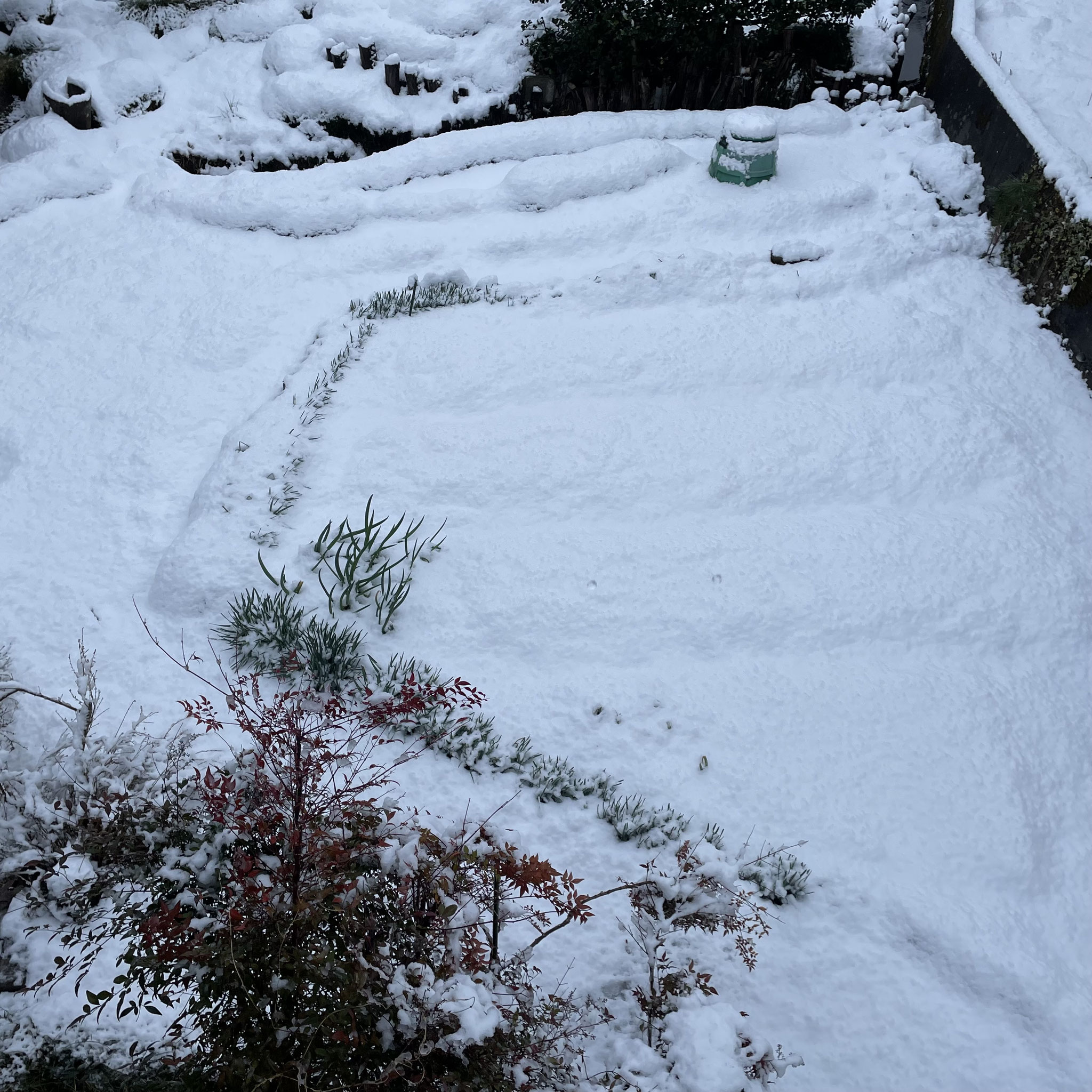 3月19日 また雪