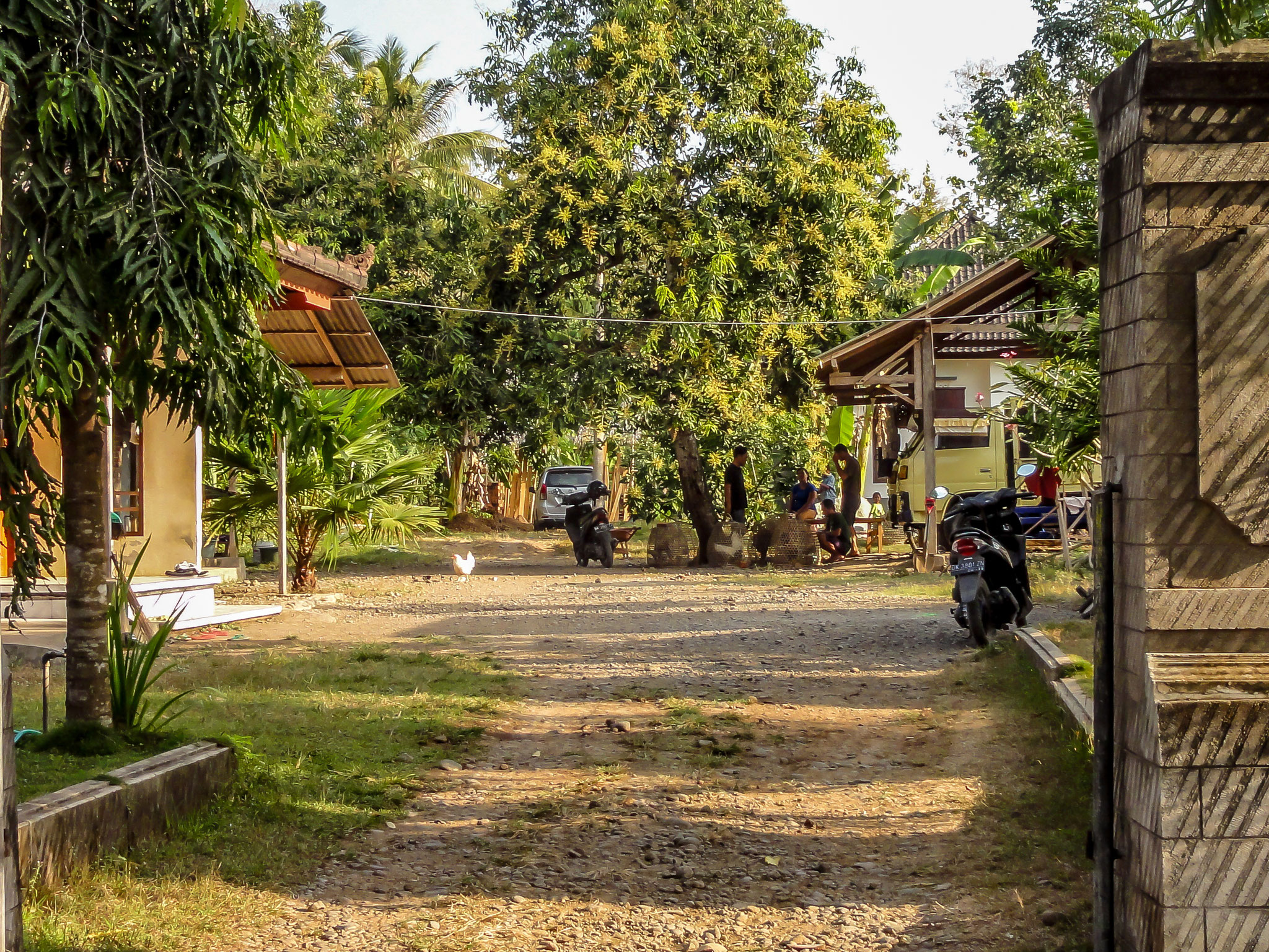 Village experience west Bali