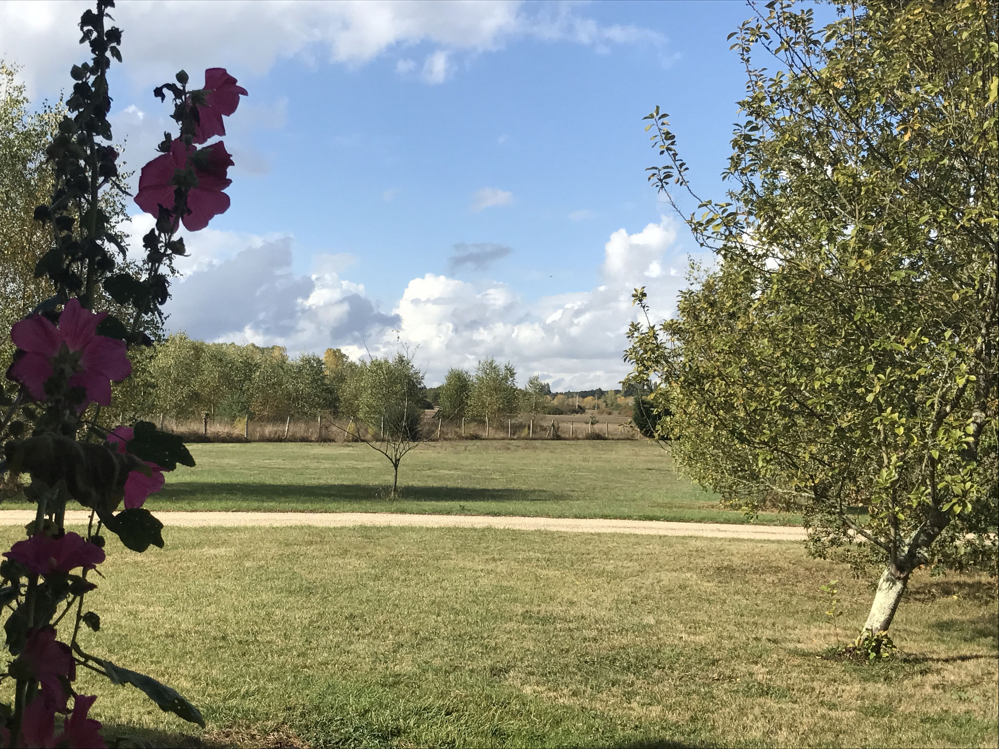 Vue sur jardin