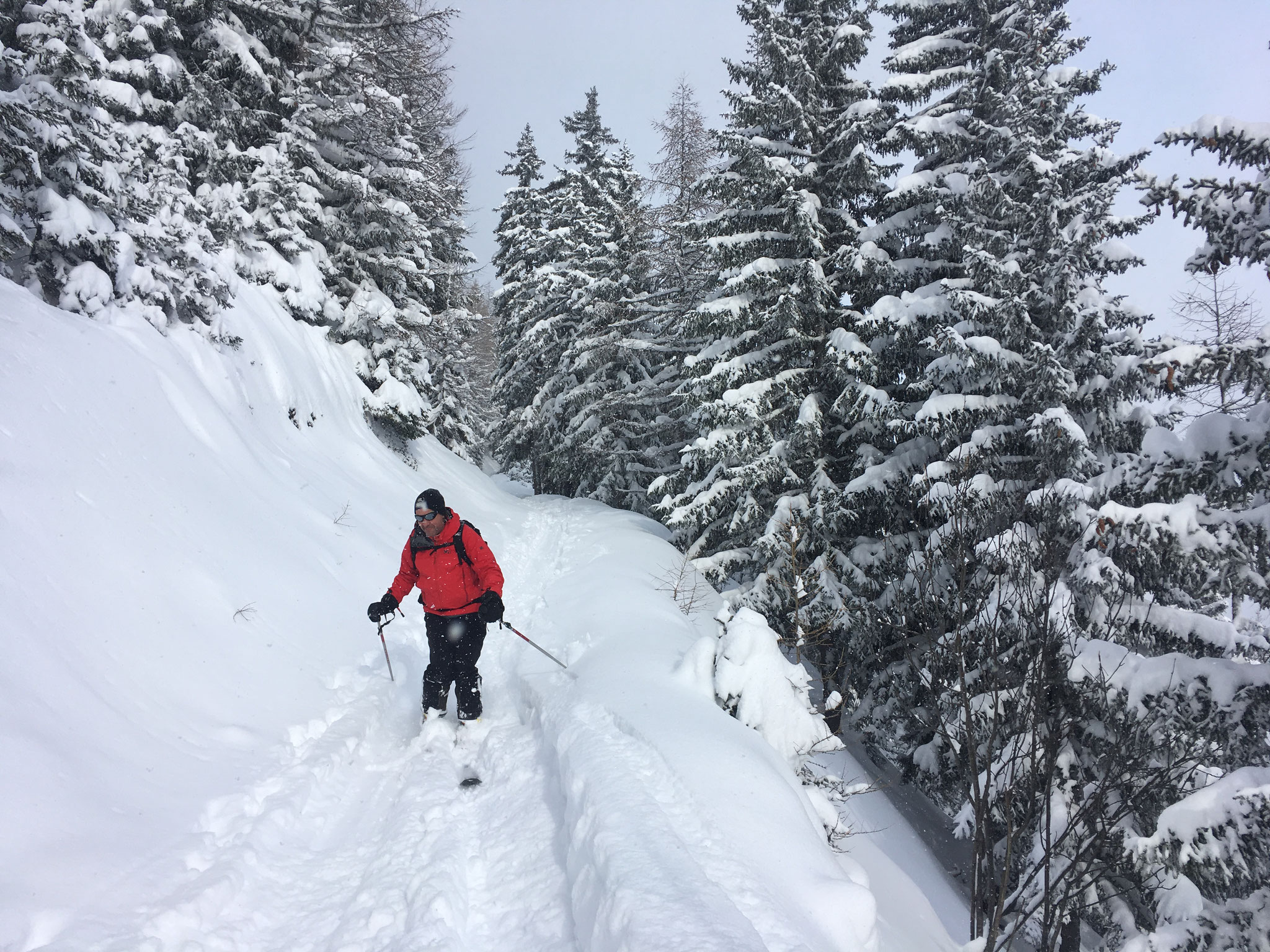 Descente ambiance hivernale en forêt