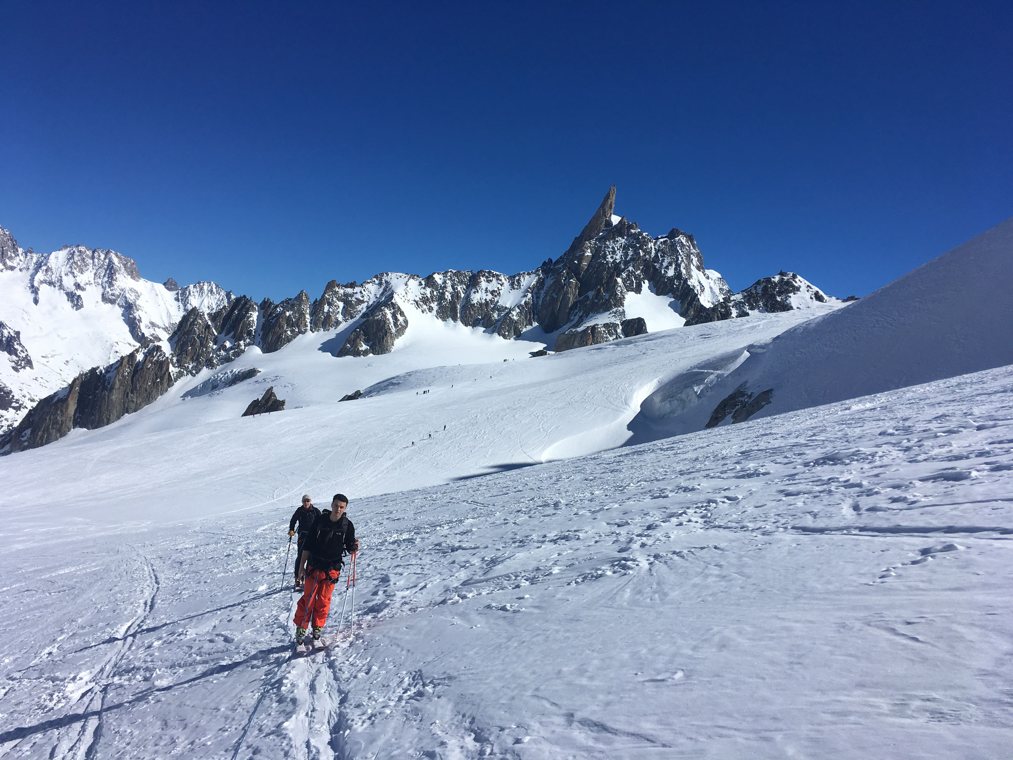 Encordés, remontée au Col d'Entrèves, avec la Dent du Géant en toile de fond