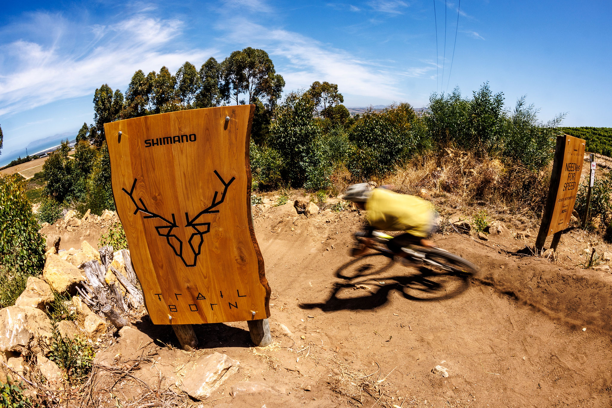 SHIMANO Trail Born 2026