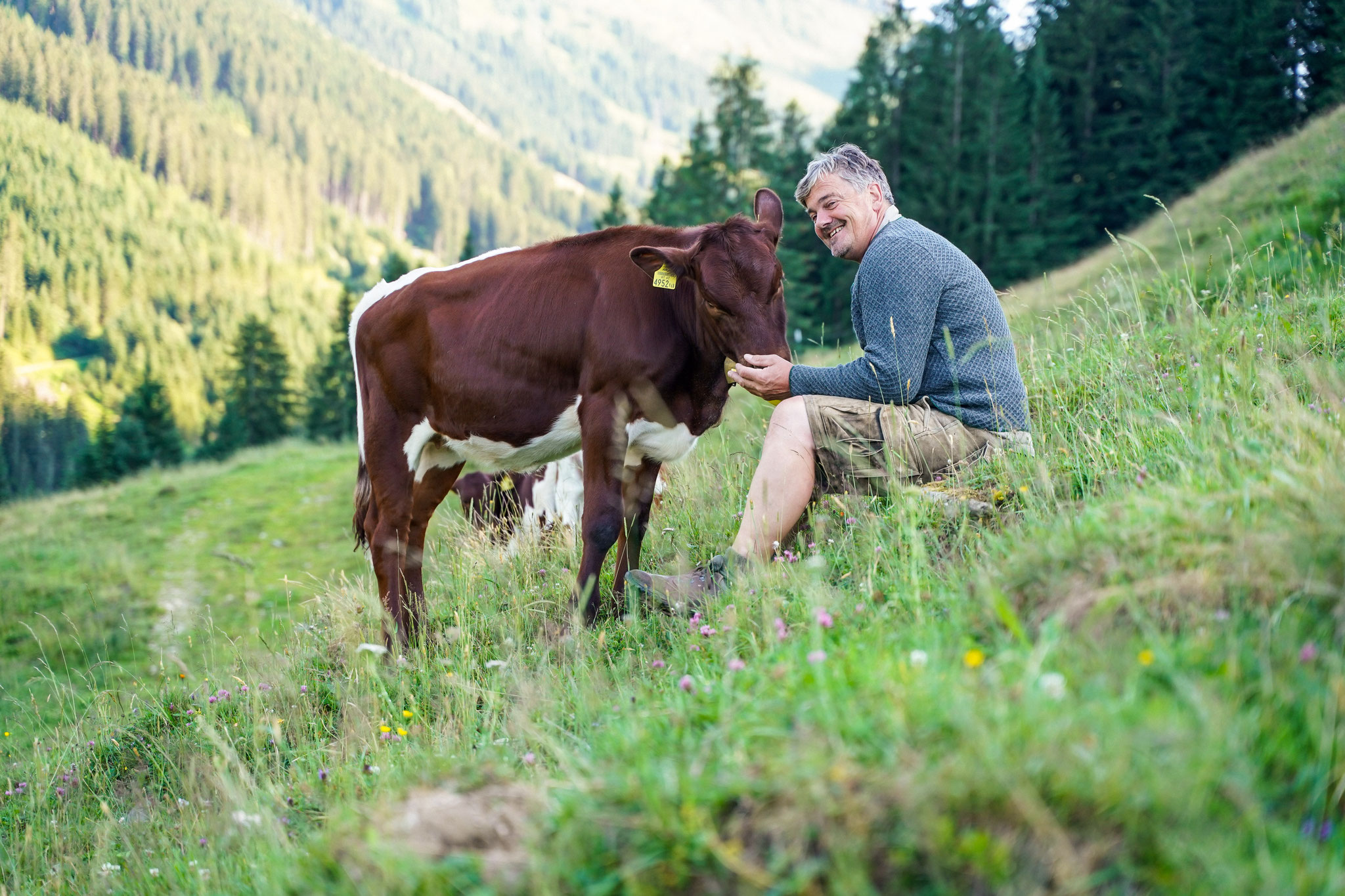 Der Unterschwarzachhof ab 19. Juni mit neuem Reitstall, Reitstüberl sowie Reitplatz. ©www.unterschwarzach.at