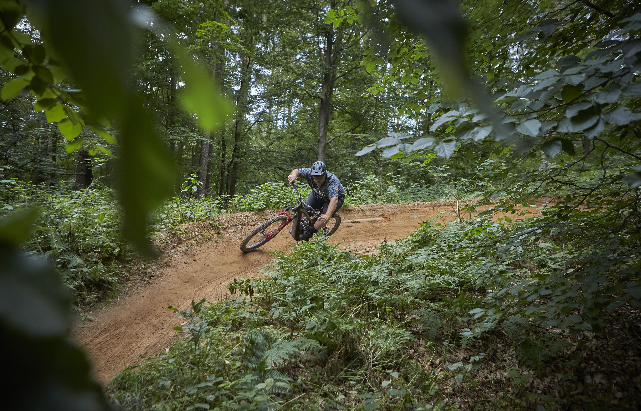 Stefan Willared by Daniel Roos