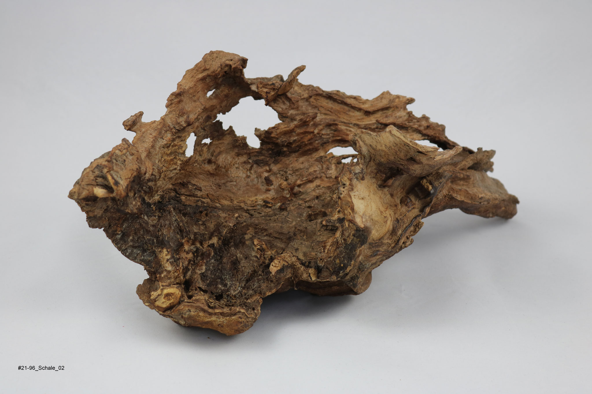 Buche (Schale, Breite ca. 40cm)