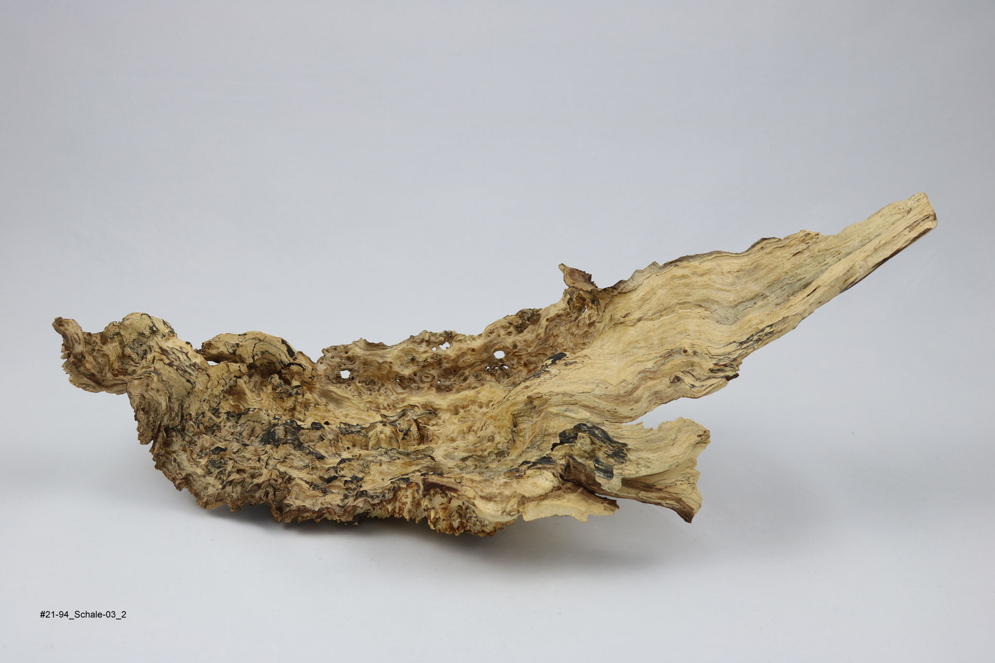Buche (Schale, Breite ca. 40cm)
