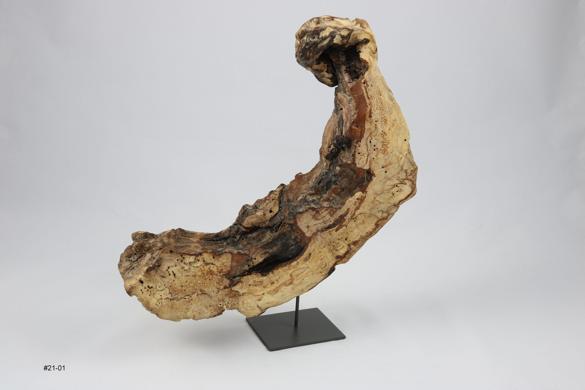 Buche, Breite ca. 40cm