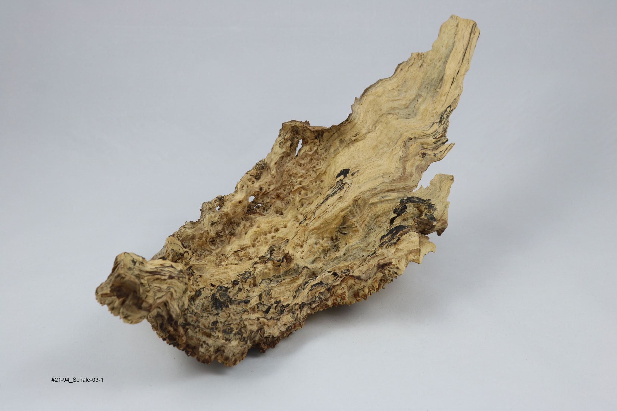 Buche (Schale, Breite ca. 40cm)