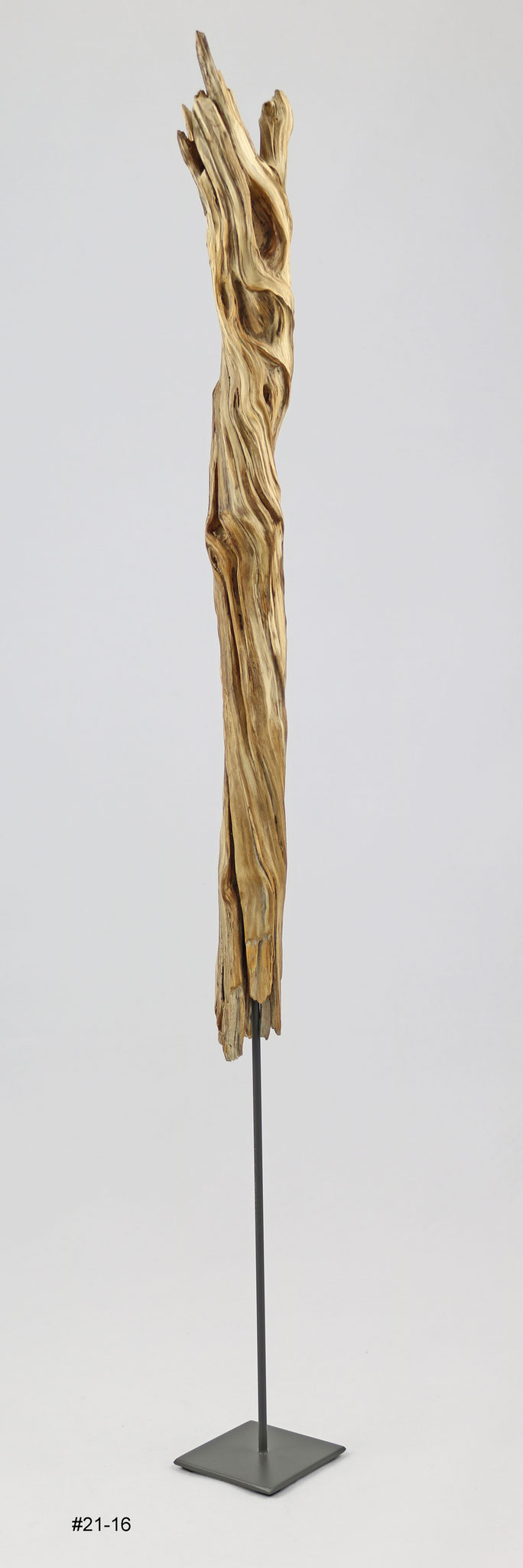 Schlehe, Höhe ca. 50cm