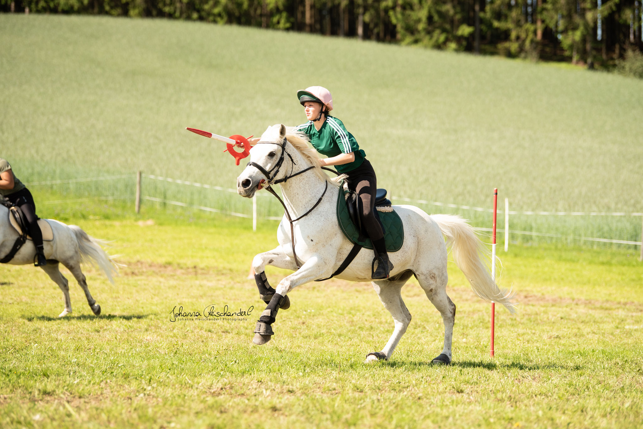 Connemara Olli bei Sword Lancers