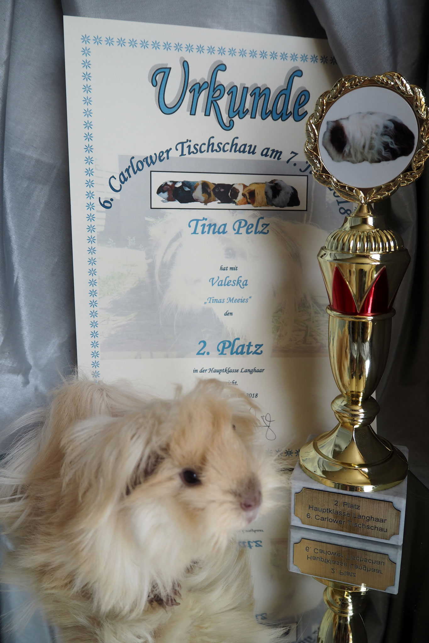 6. Carlower Tischschau.7.7.2018./ Valeska 2.Platz
