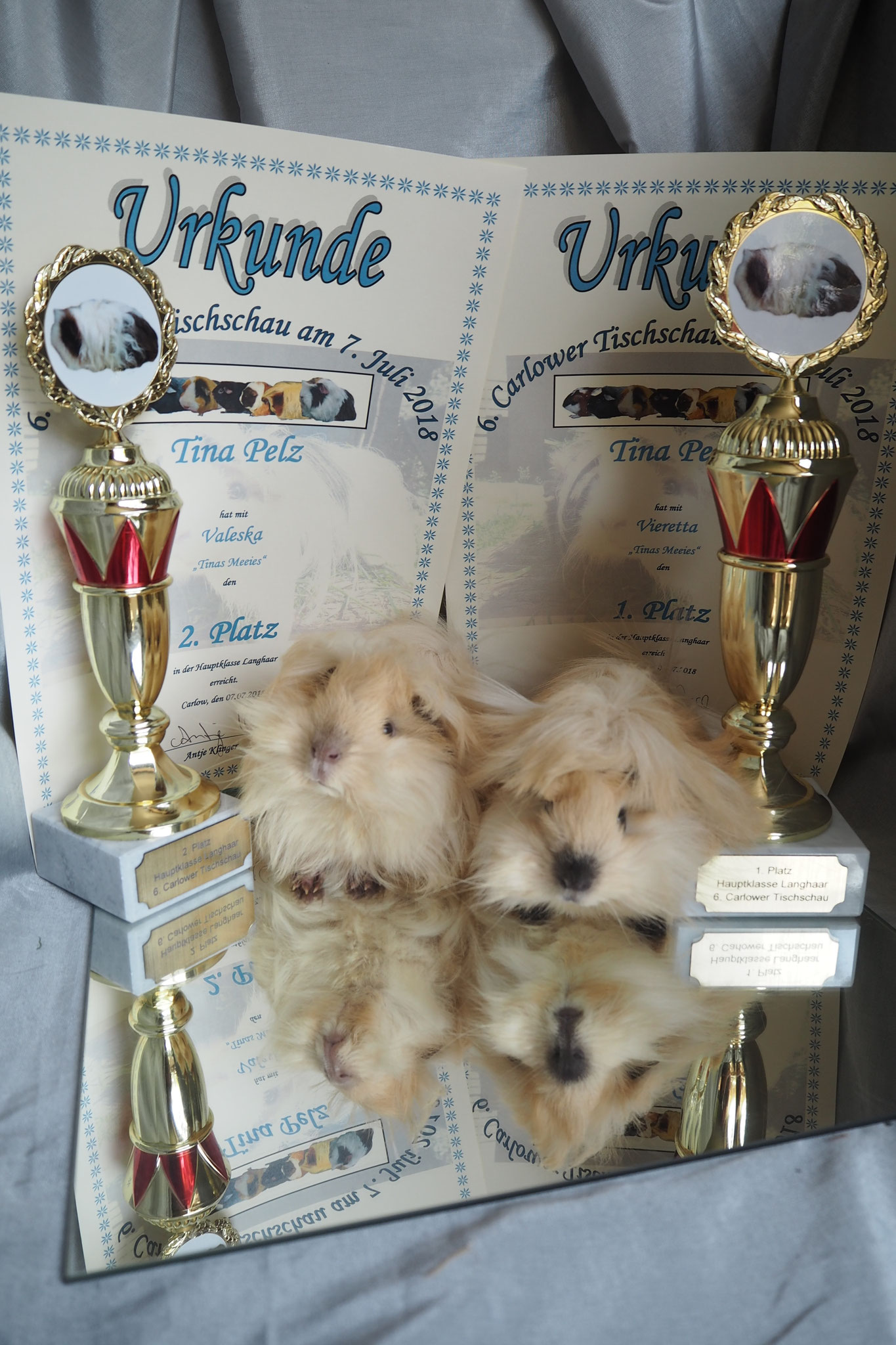 6.Carlower Tischschau 7.7.2018. Vinetta+Valeska. 1+2 Platz.