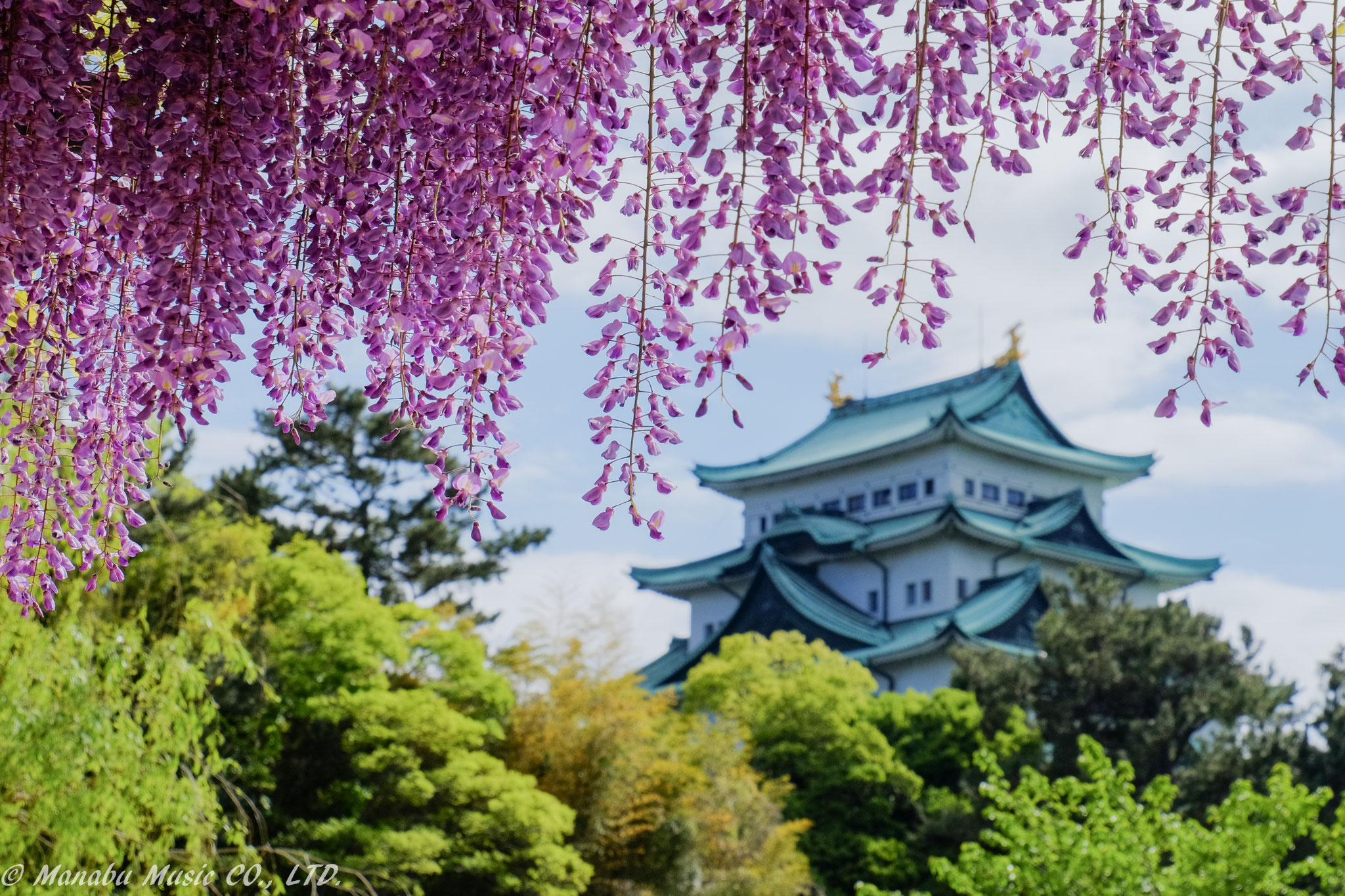 名古屋城  X-E2 XF18-135mm