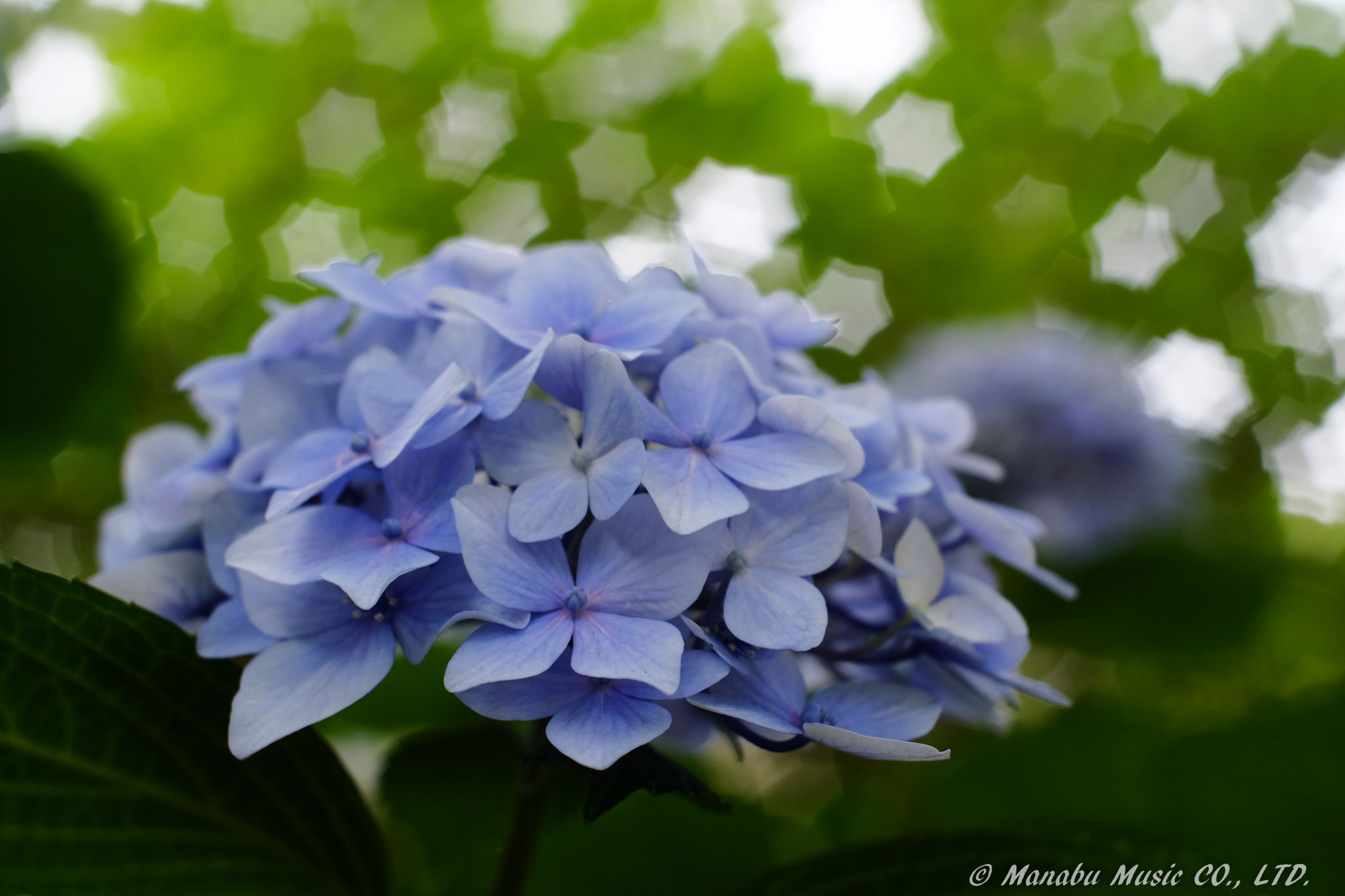ロシアンレンズ  X-E2 Industar 50mm F2.8（Baveyes使用）