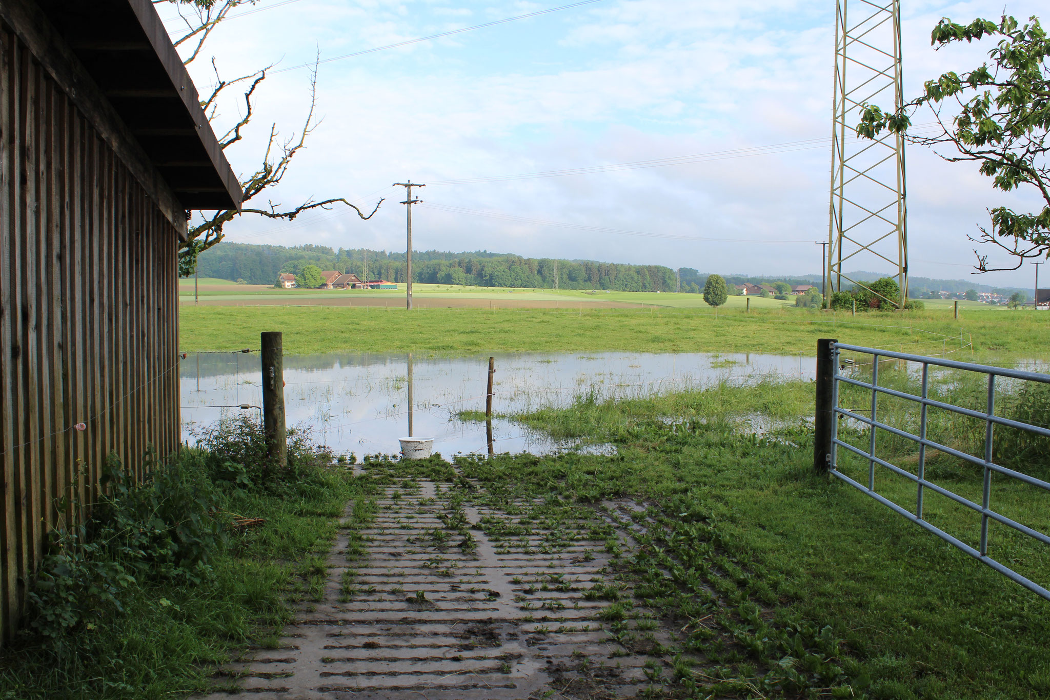 Hochwasser 07.06.2015