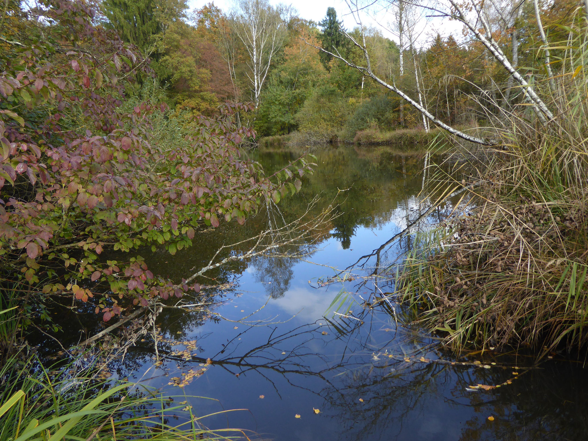 Bisikerweiher