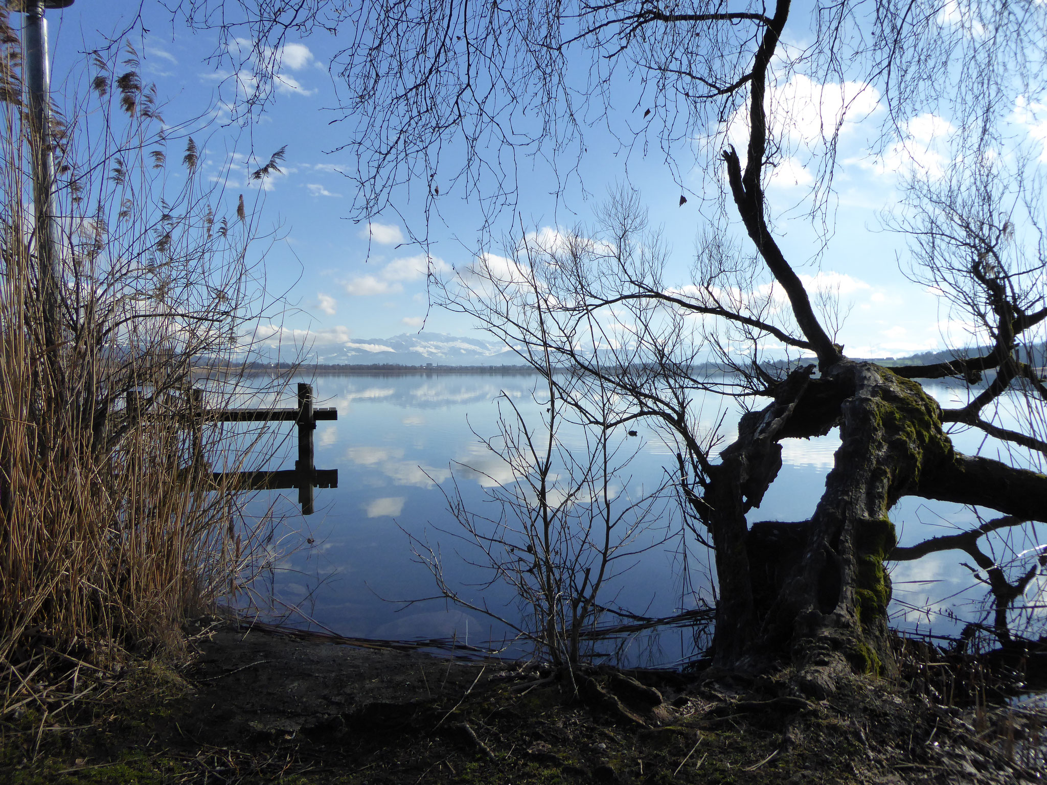 Am Pfäffikersee