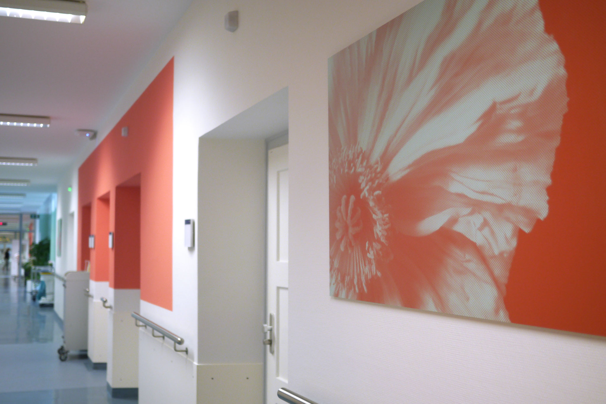 Flur in der Frauenklinik mit Blütenmotiven und Farbcode, Kunst für Kliniken zur besseren Orientierung.