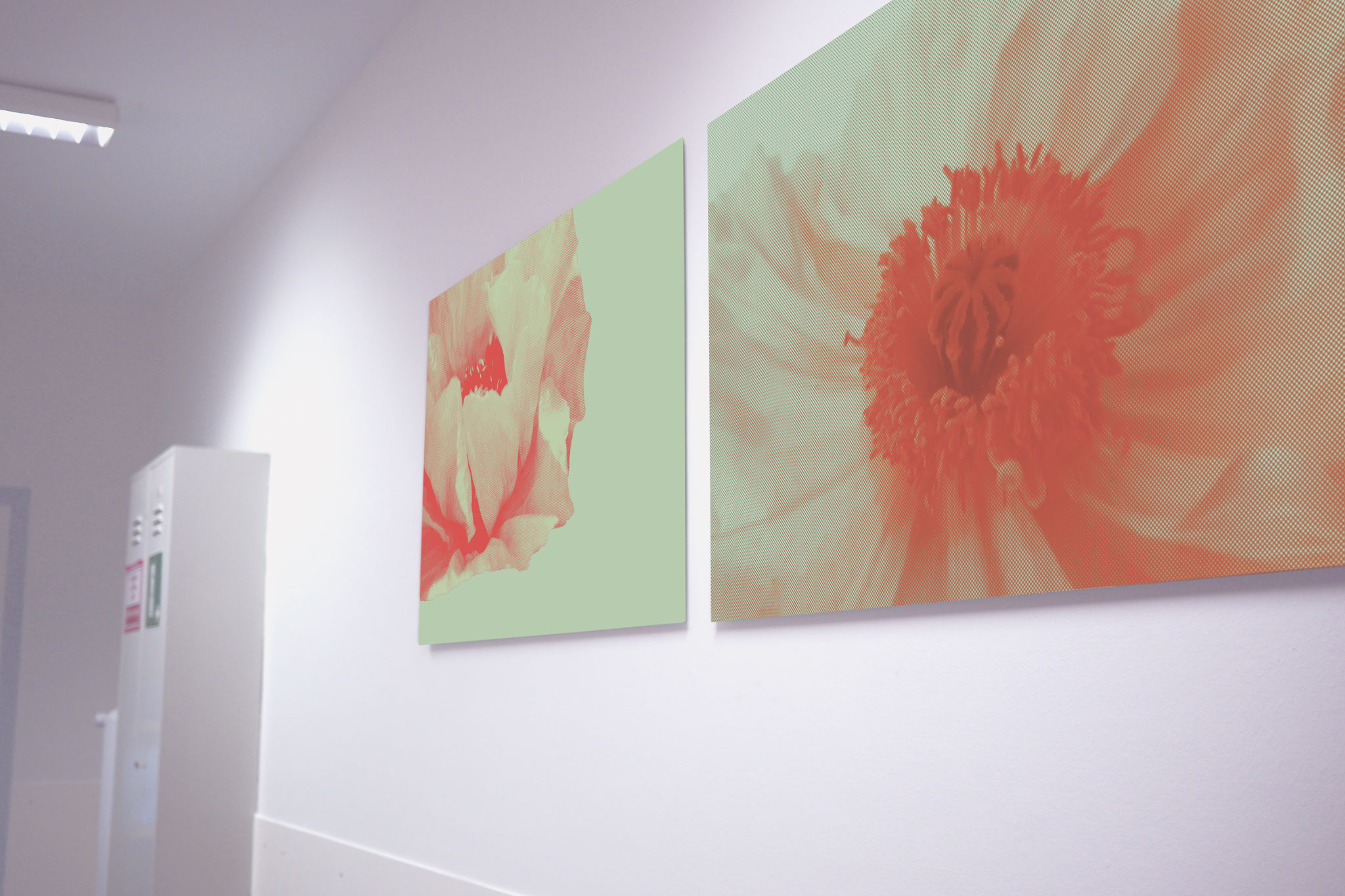 Frauenklinik Uniklinik Würzburg, Farbleitsystem mit Blütenmotiven zur Orientierung auf der Station, Kunst für Kliniken.