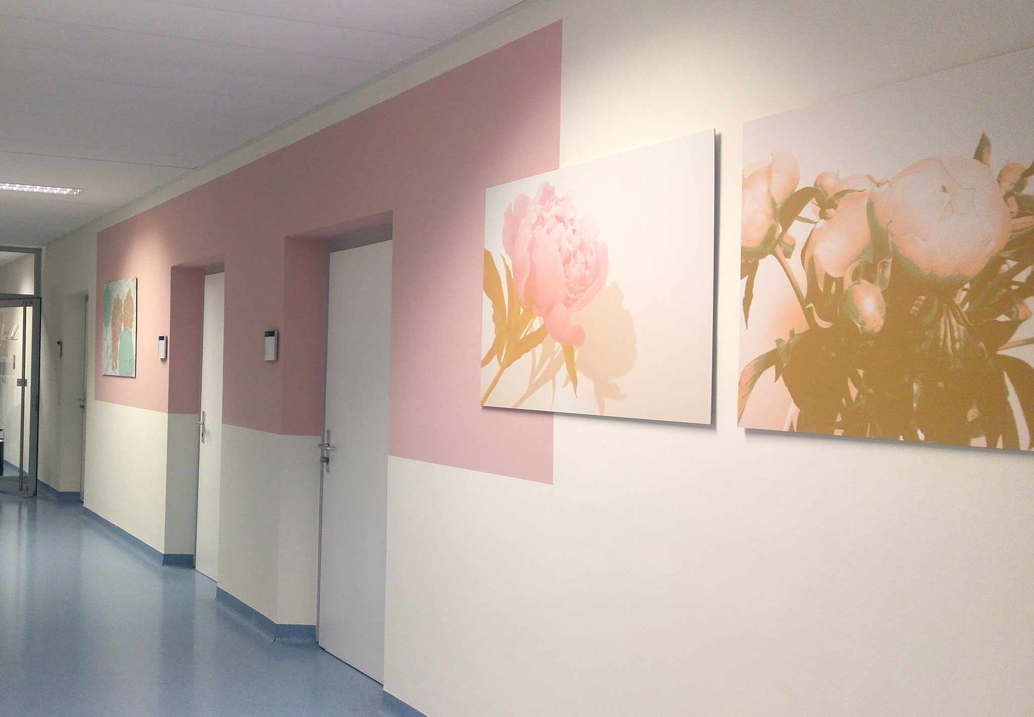 Pfingstrose Motiv grafisch und fotografisch inszeniert, Kunst in der Frauenklinik als Orientierung und Atmosphäre.