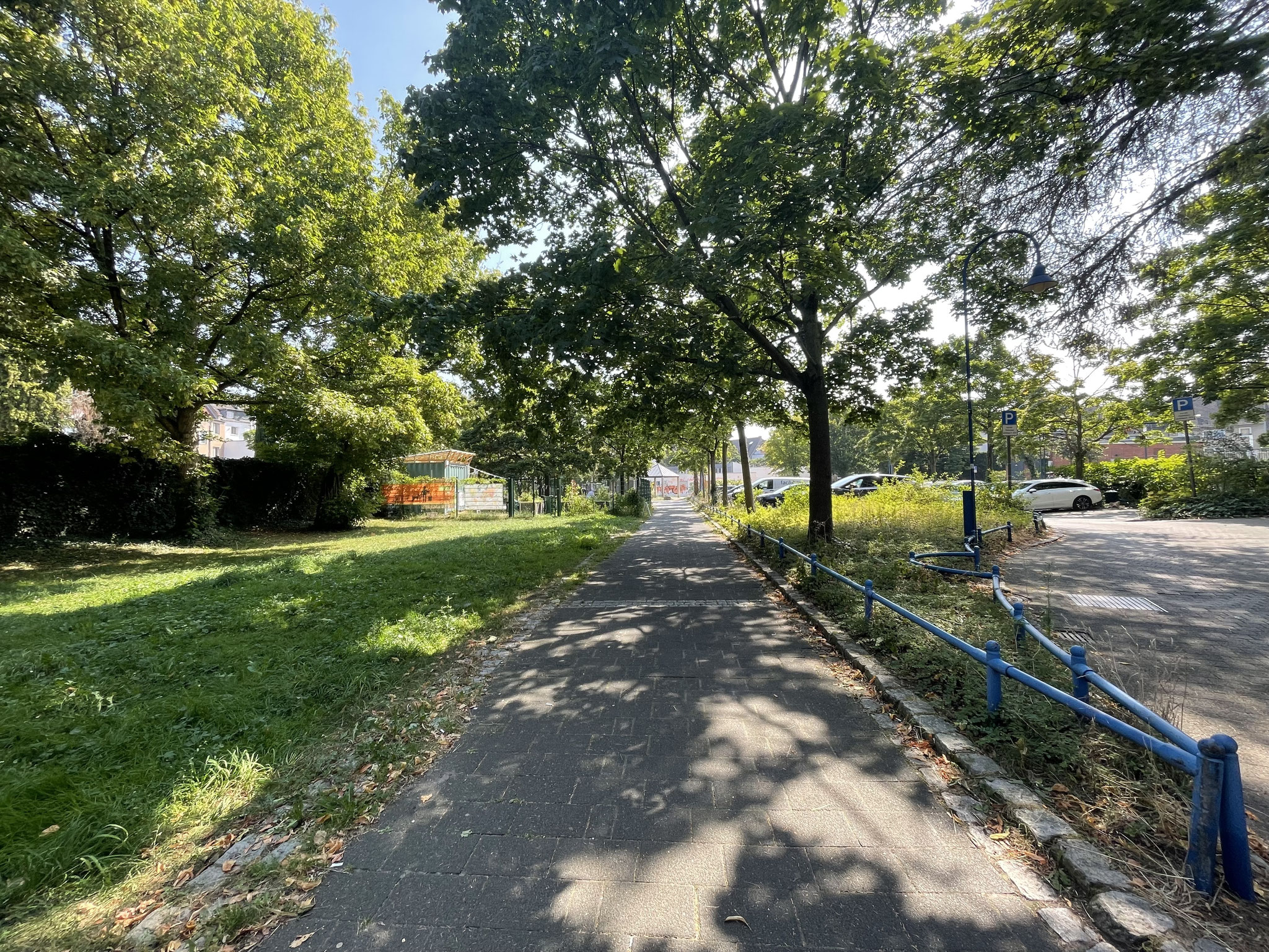 August 2025: Fußgängerweg; Blick Richtung Genovevagarten