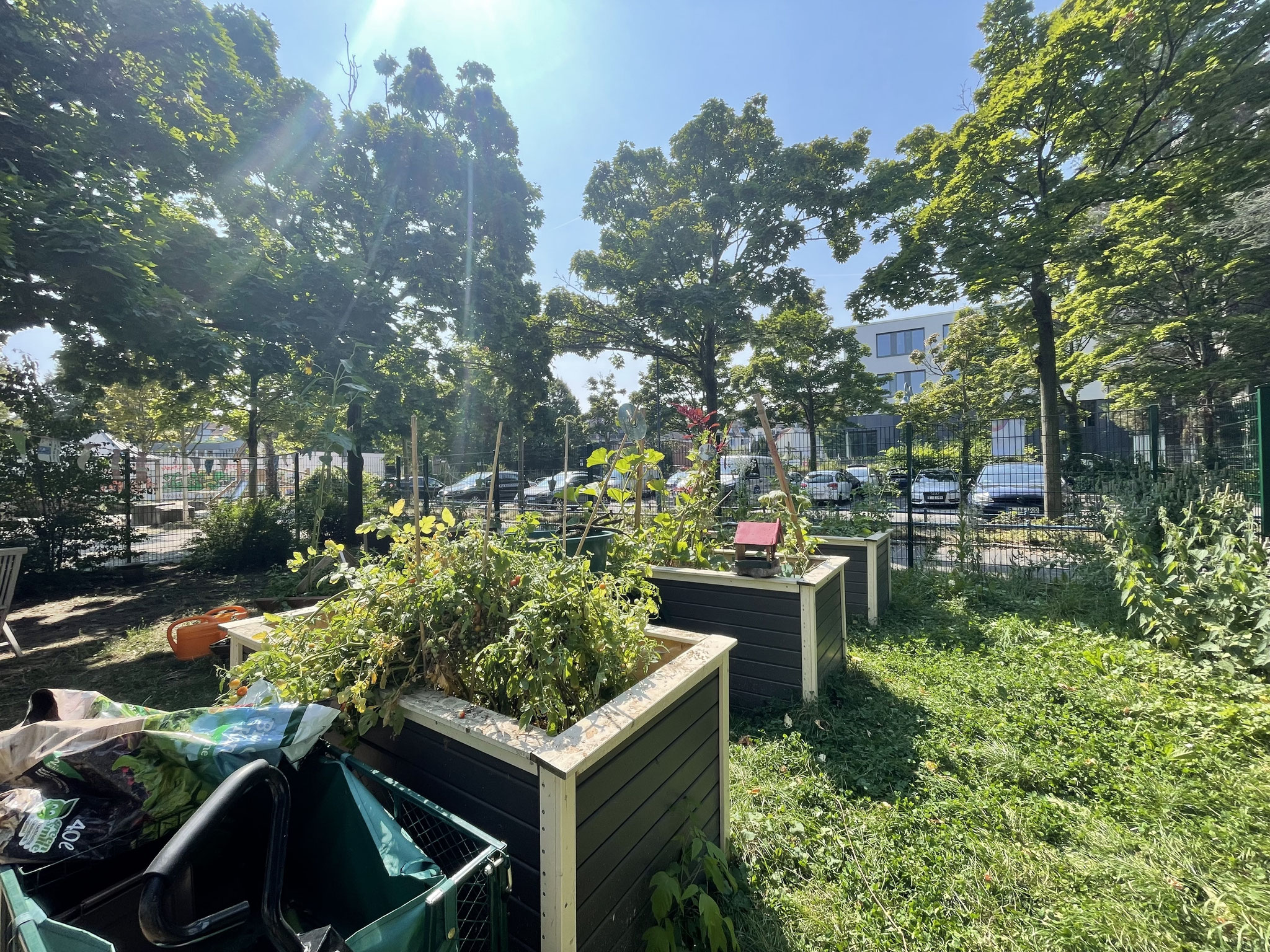 August 2025: Genovevagarten