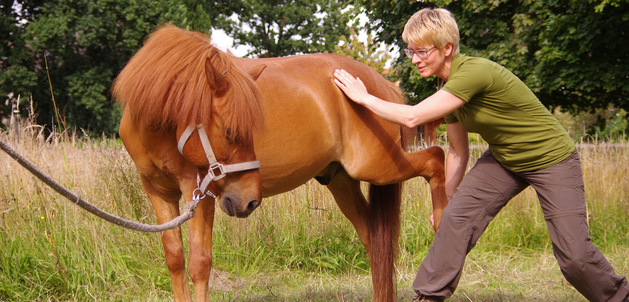 Osteopathische Pferdetherapie