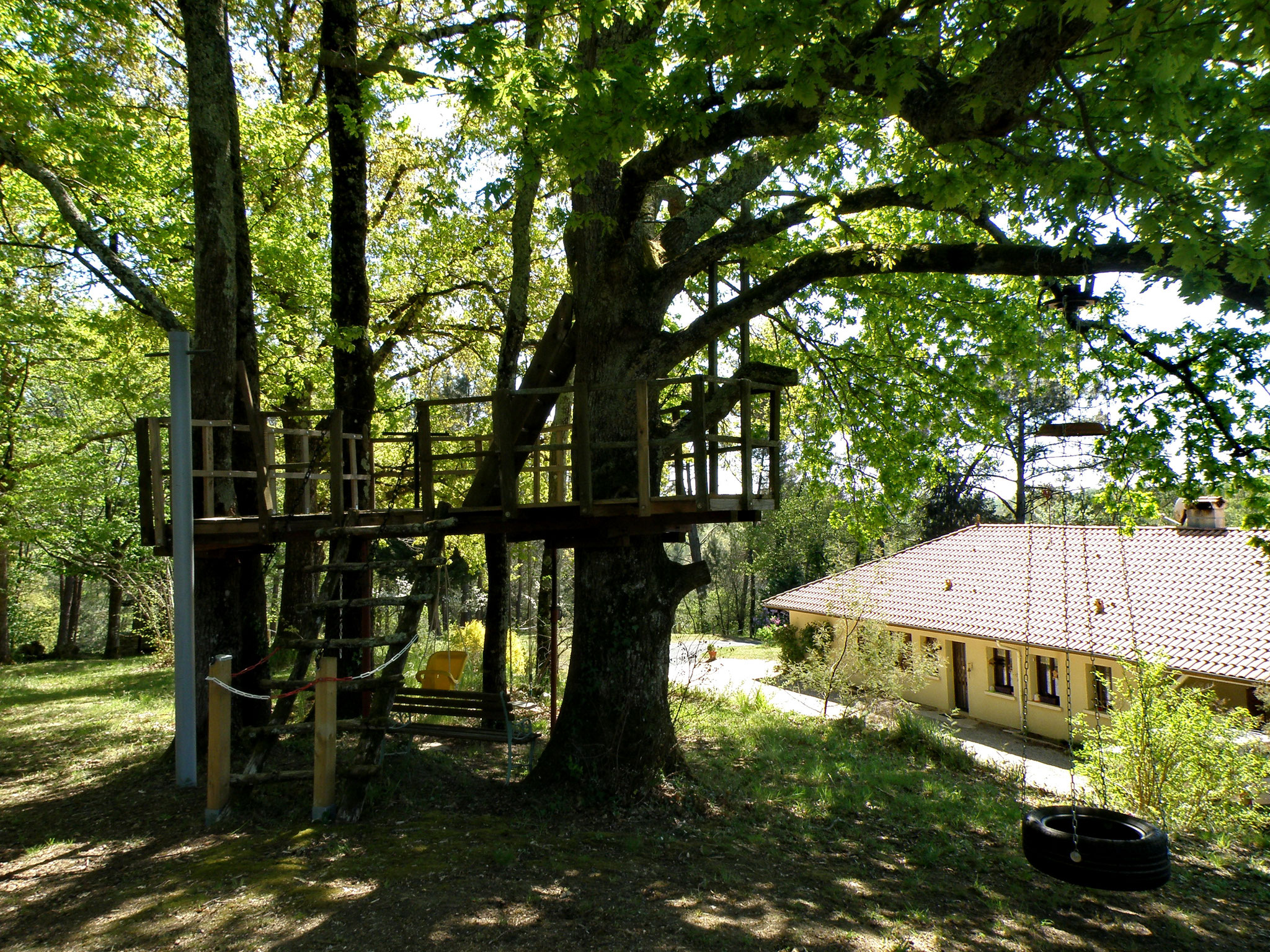 Belvédère, balançoires, tyrolienne...