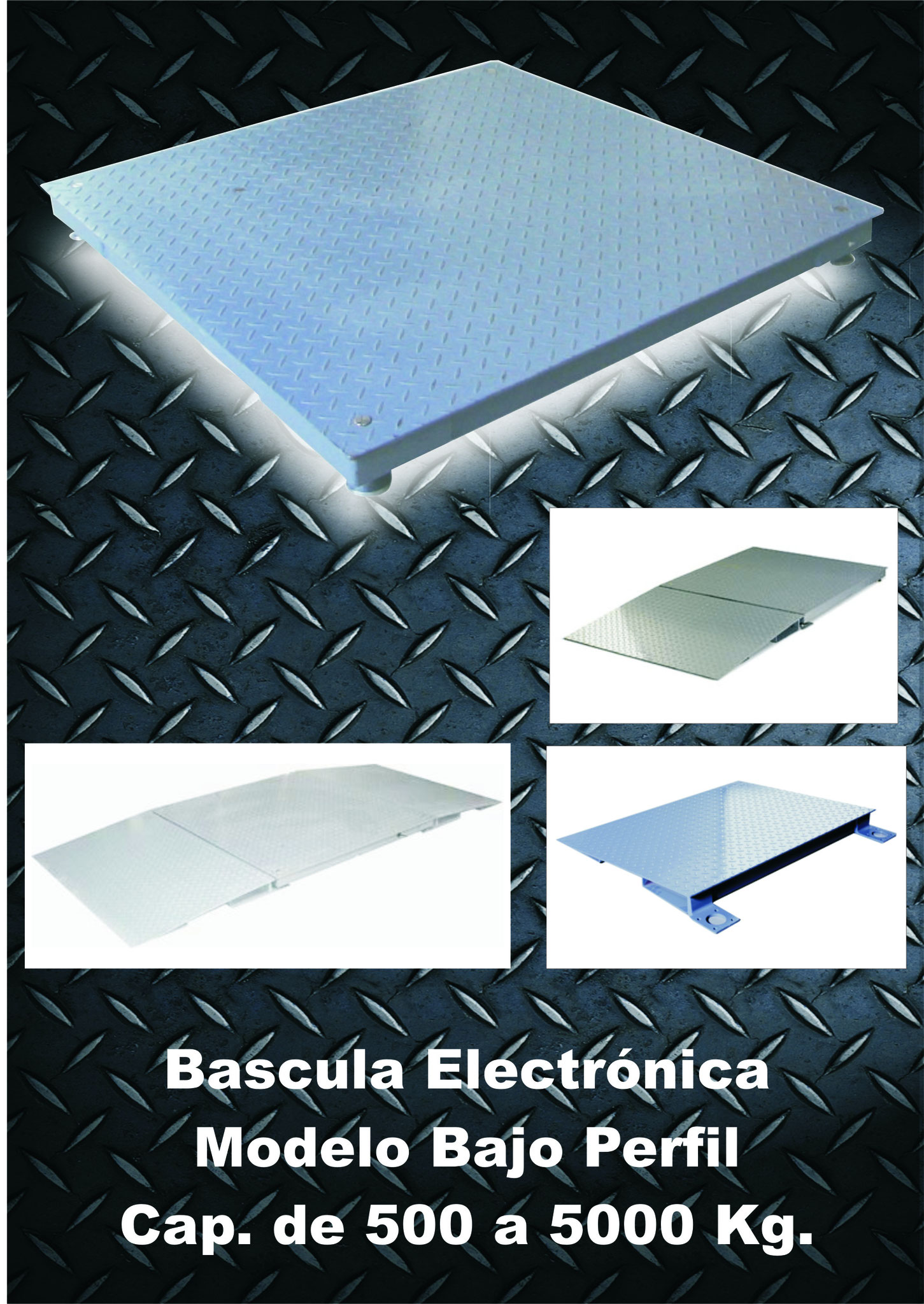 BASCULA ELECTRONICA BAJO PERFIL DE ACERO AL CARBONO 500KG A  5000Kg 