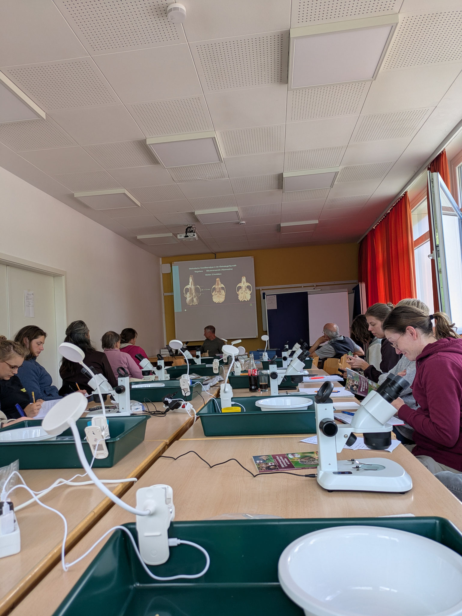 Theoretische Einführung in die Untersuchung von Gewöllen (Foto: © Carina Zöllmann)