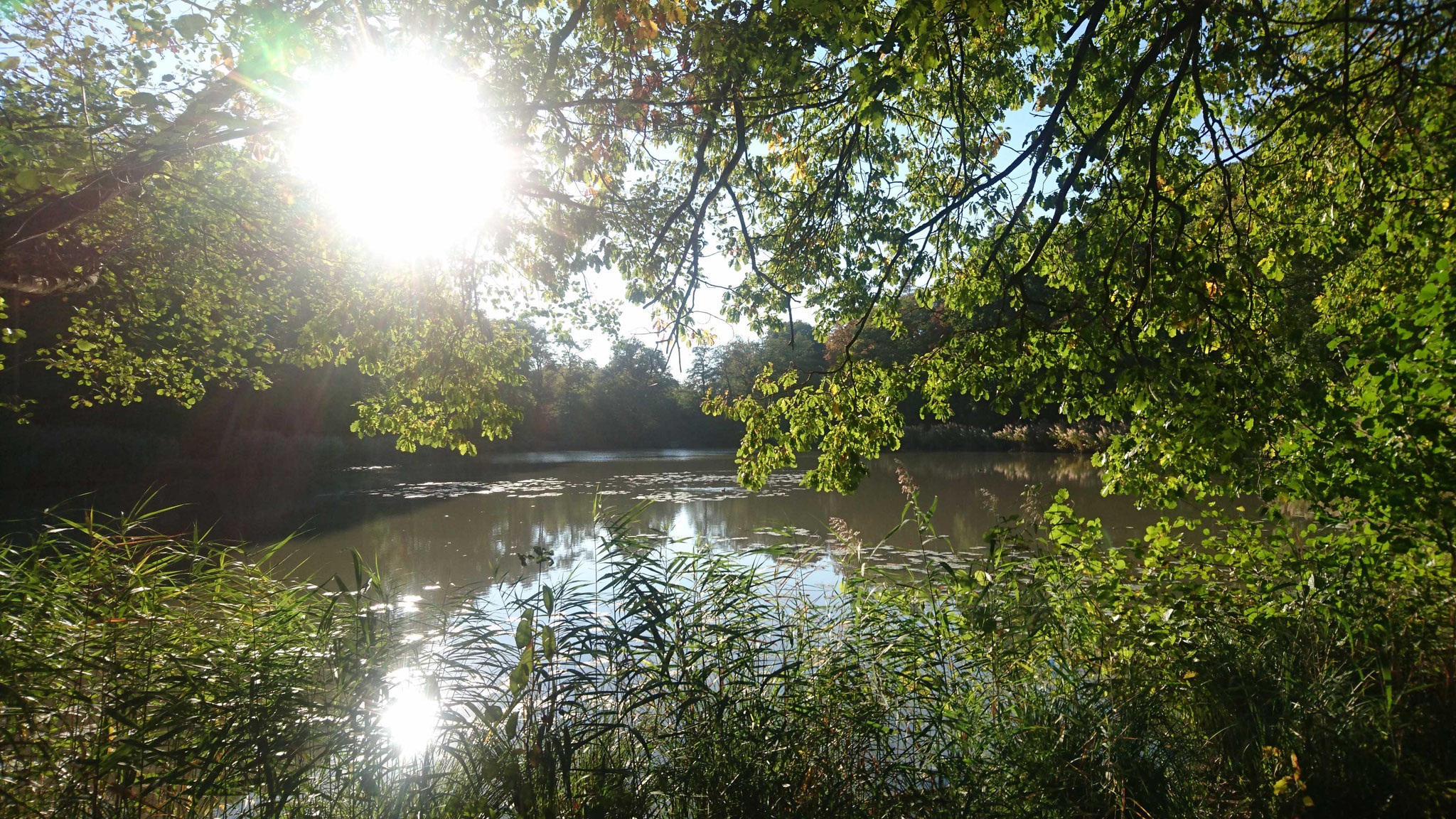 Hamberger See