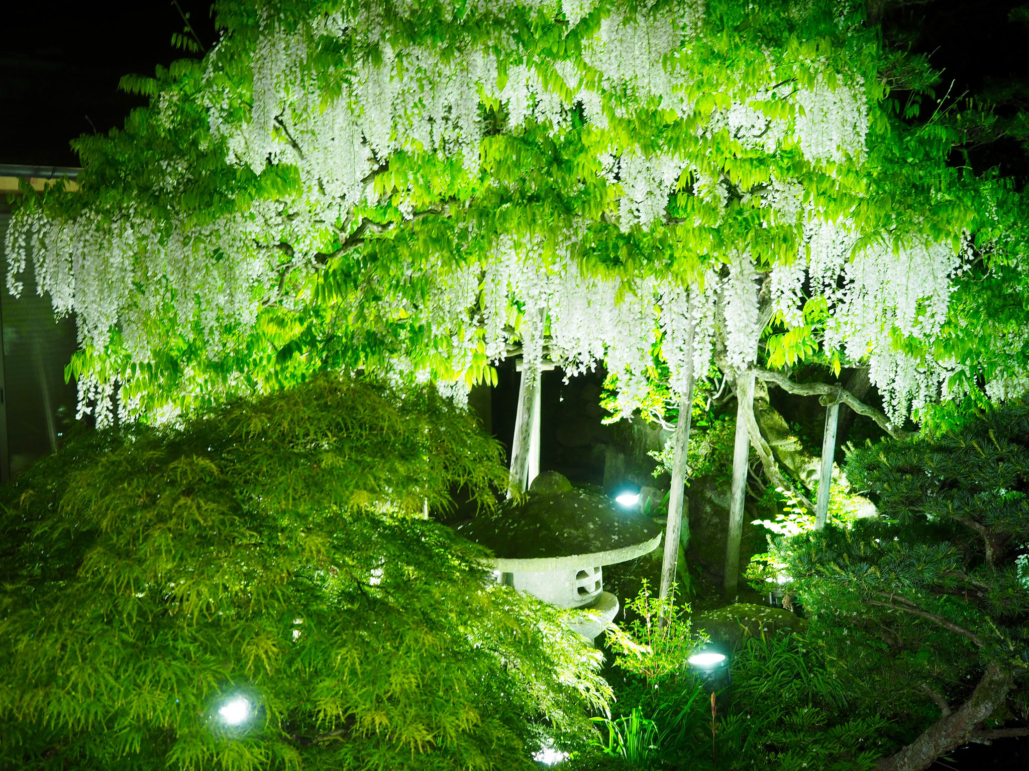 浄土真宗本願寺派 大網奥之坊常瑞寺〜奥之坊百景〜< 最新のおしらせ ><新白河駅構内に、寺の案内表示ができました!>【 更新情報 】