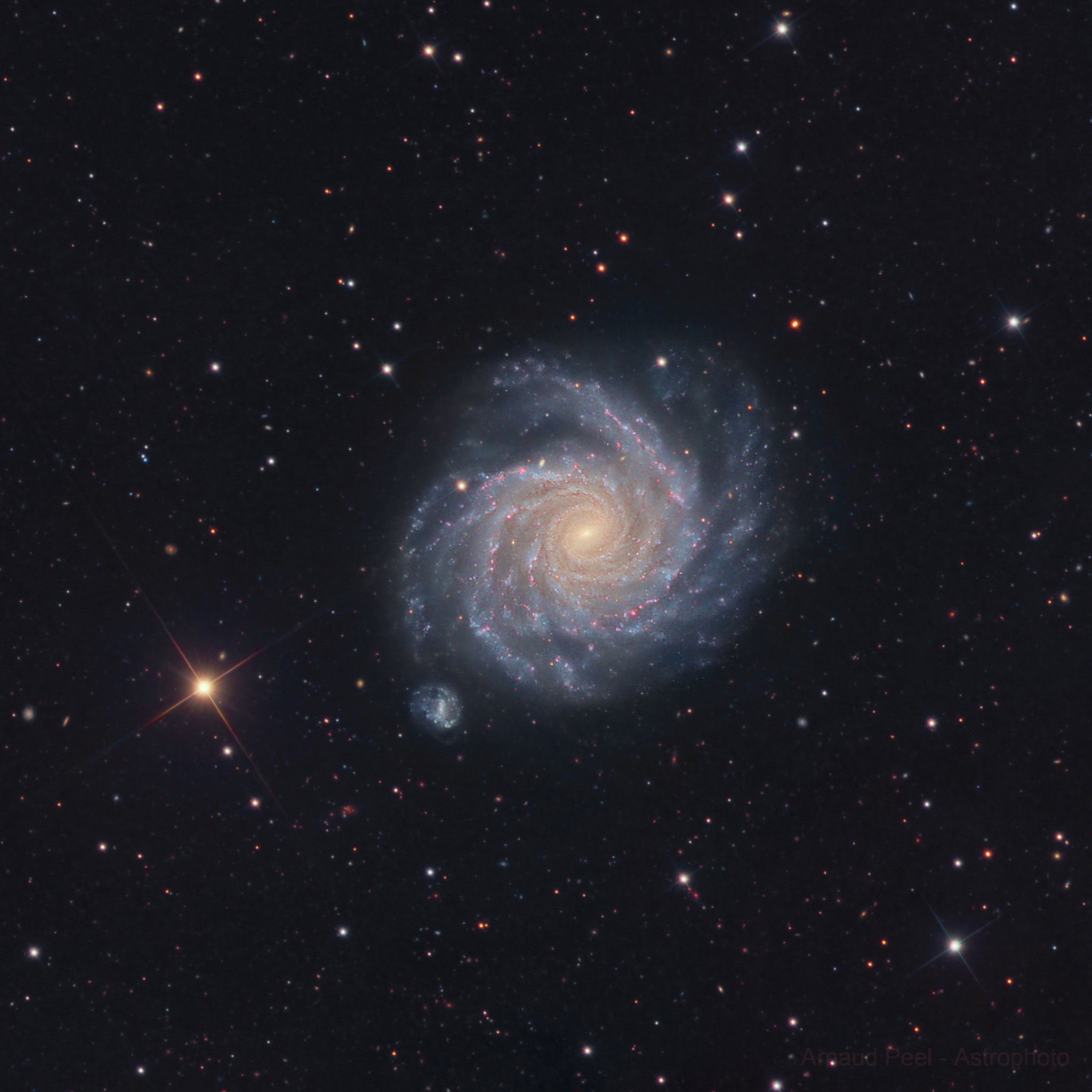 NGC 1232, Atria