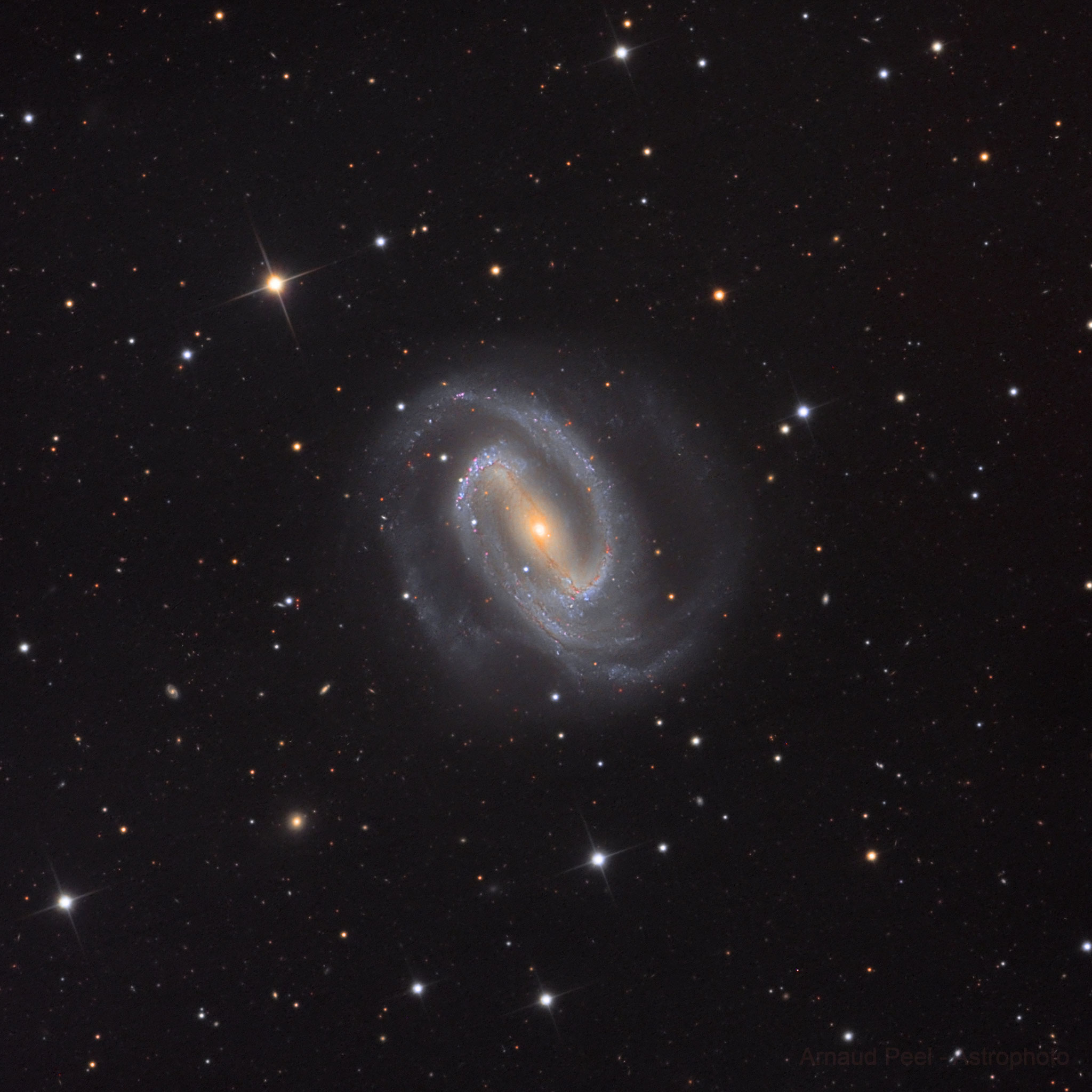 NGC 1300