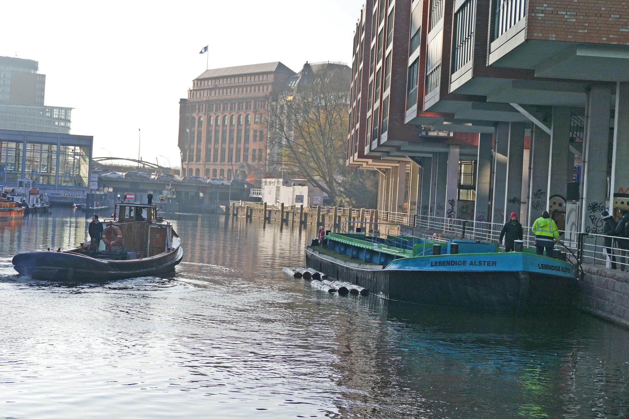 Die Grüne Schute liegt im Alsterfleet. Mit ihr wollen wir auf darauf hinweisen, dass die Hamburger Fleete ein wichtiger Lebensraum und Wanderkorridor ist (Foto: W. Hammer).