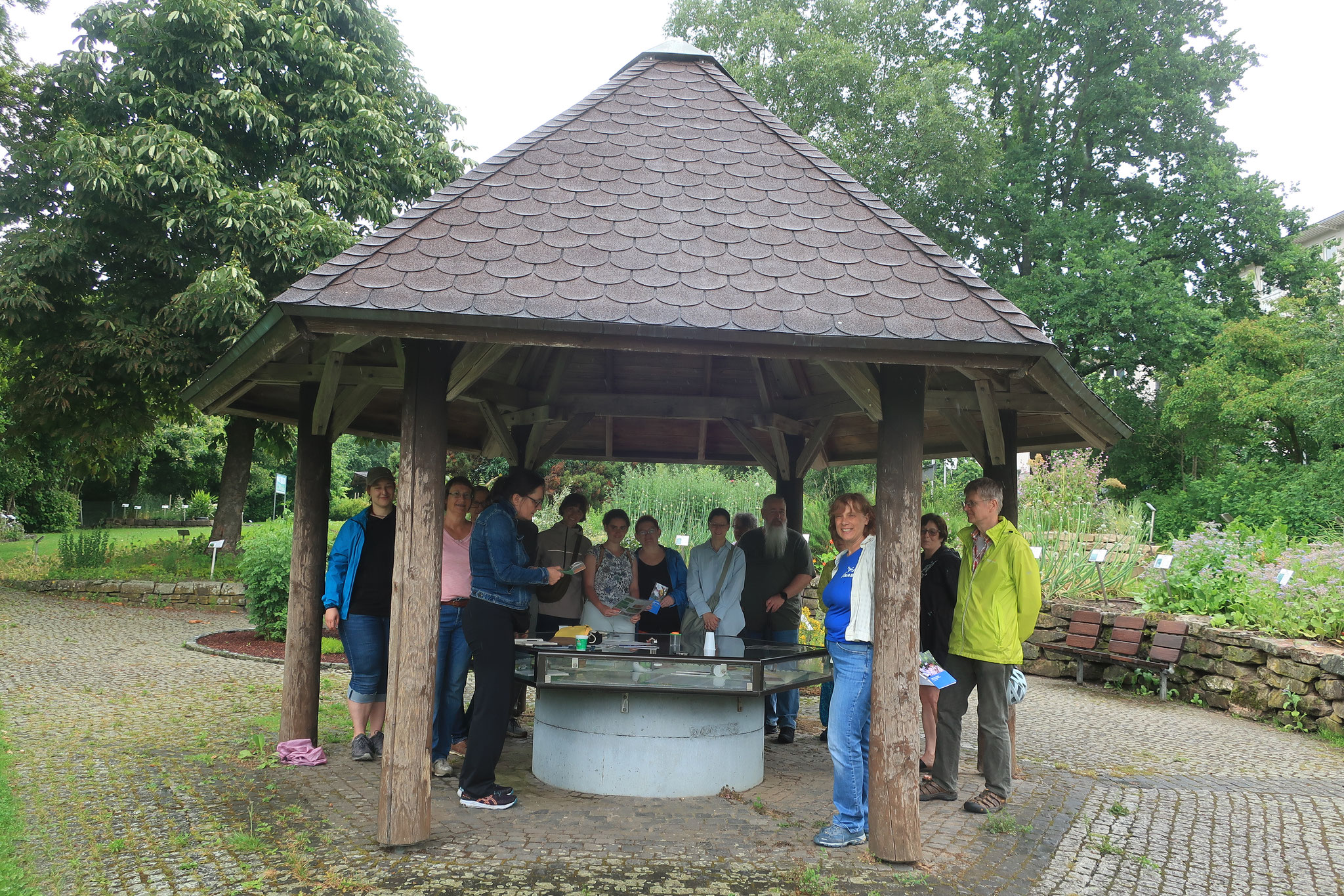 Foto: P. Schnöde vom Apothekergarten