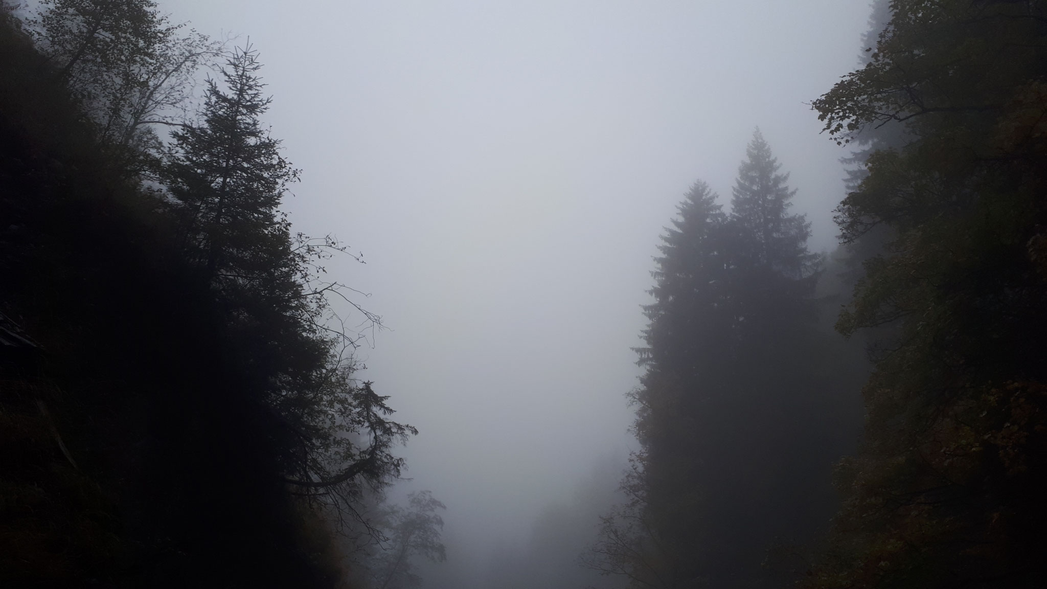 ...fog as a sign of the near end of the season...