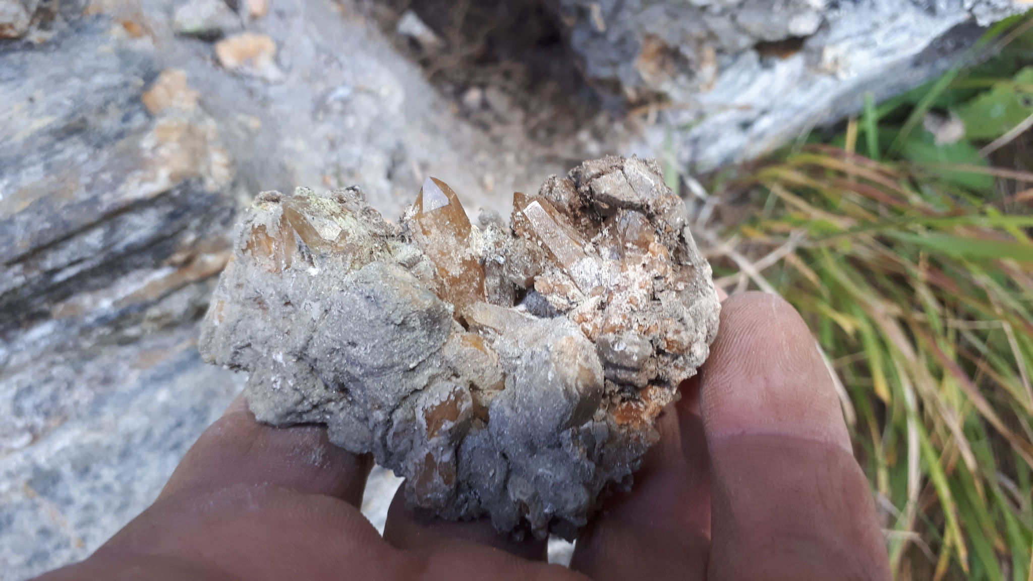 ...the first extracted specimen...