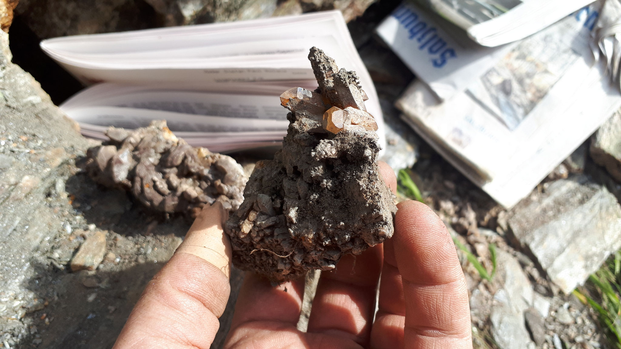 ...lovely specimen...
