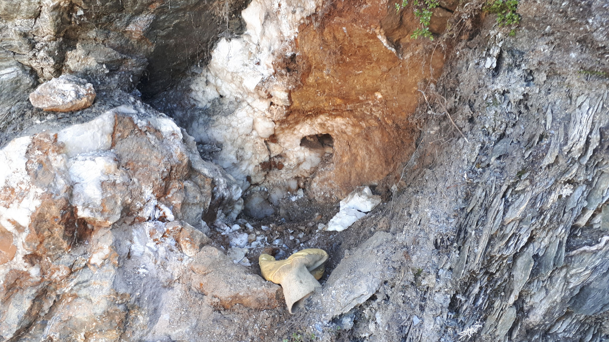 ...another cleft, not typical, open when found...