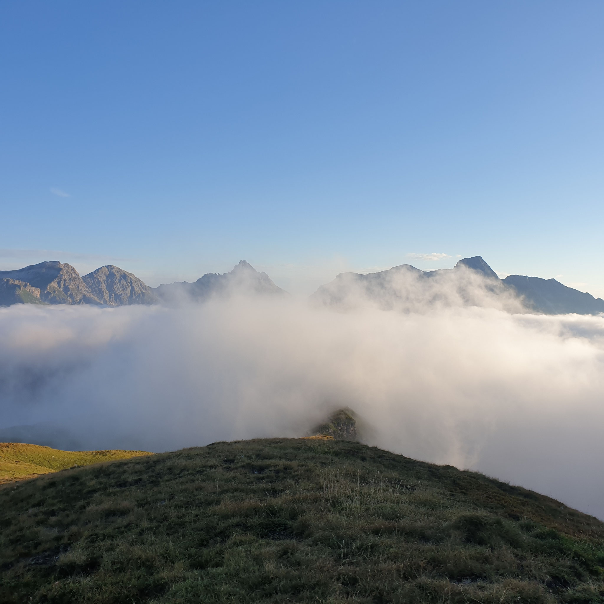 ...back in my home area, nice view in the morning...