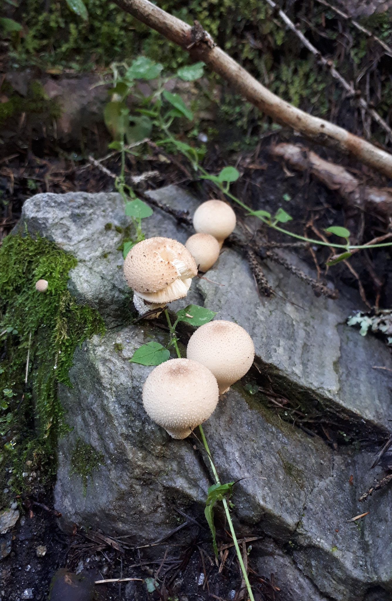 ...nature always provides fascinating images...