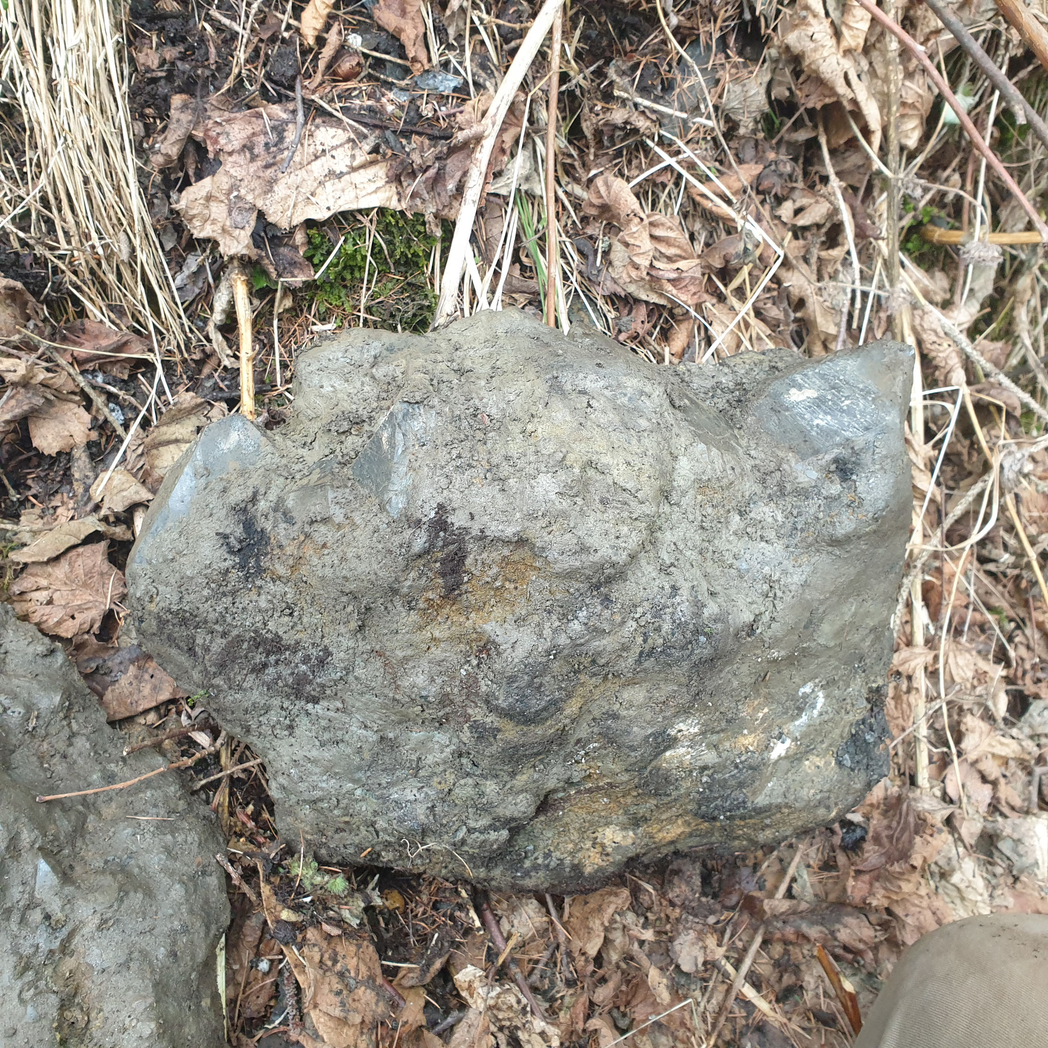 ...big specimen...