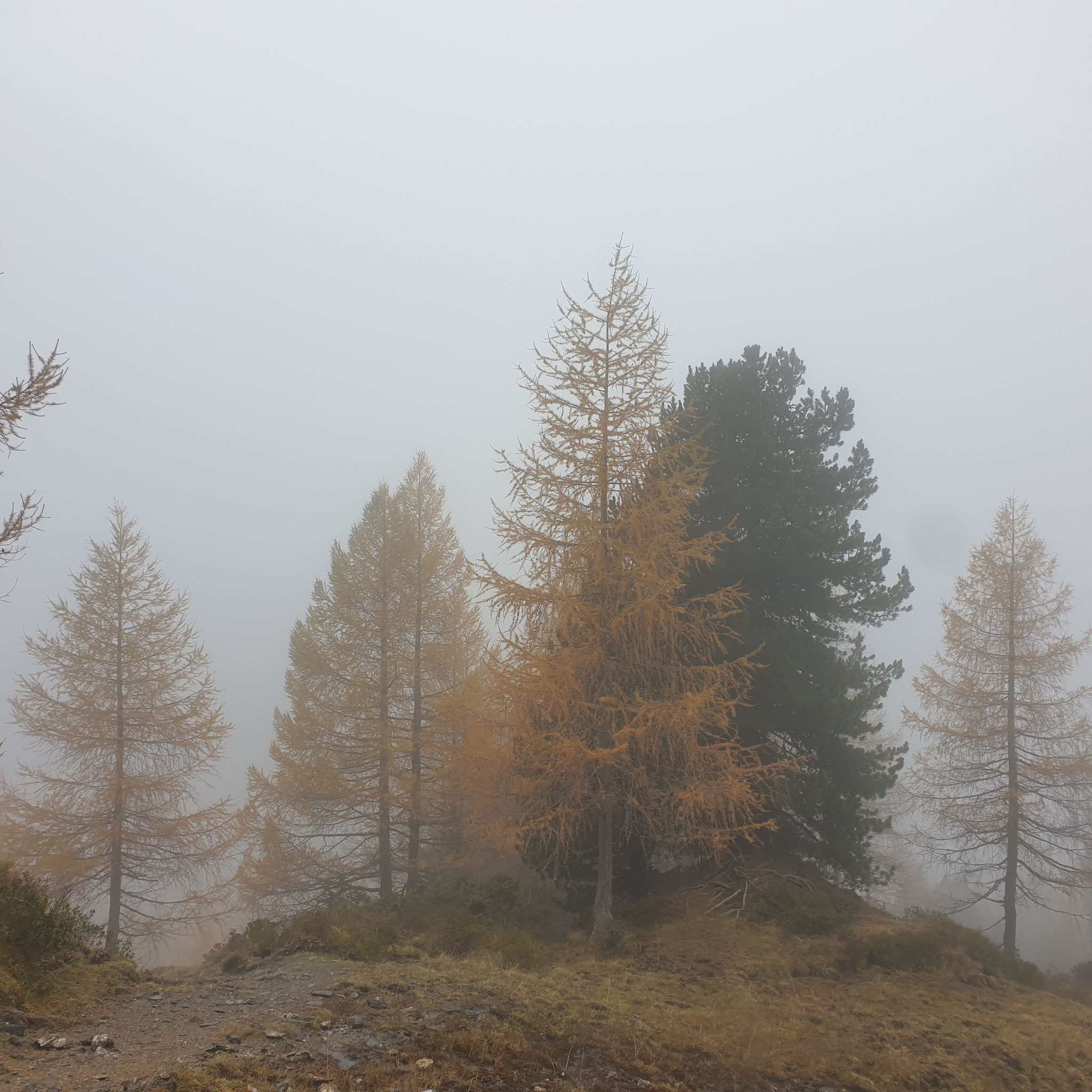 ...foggy days...