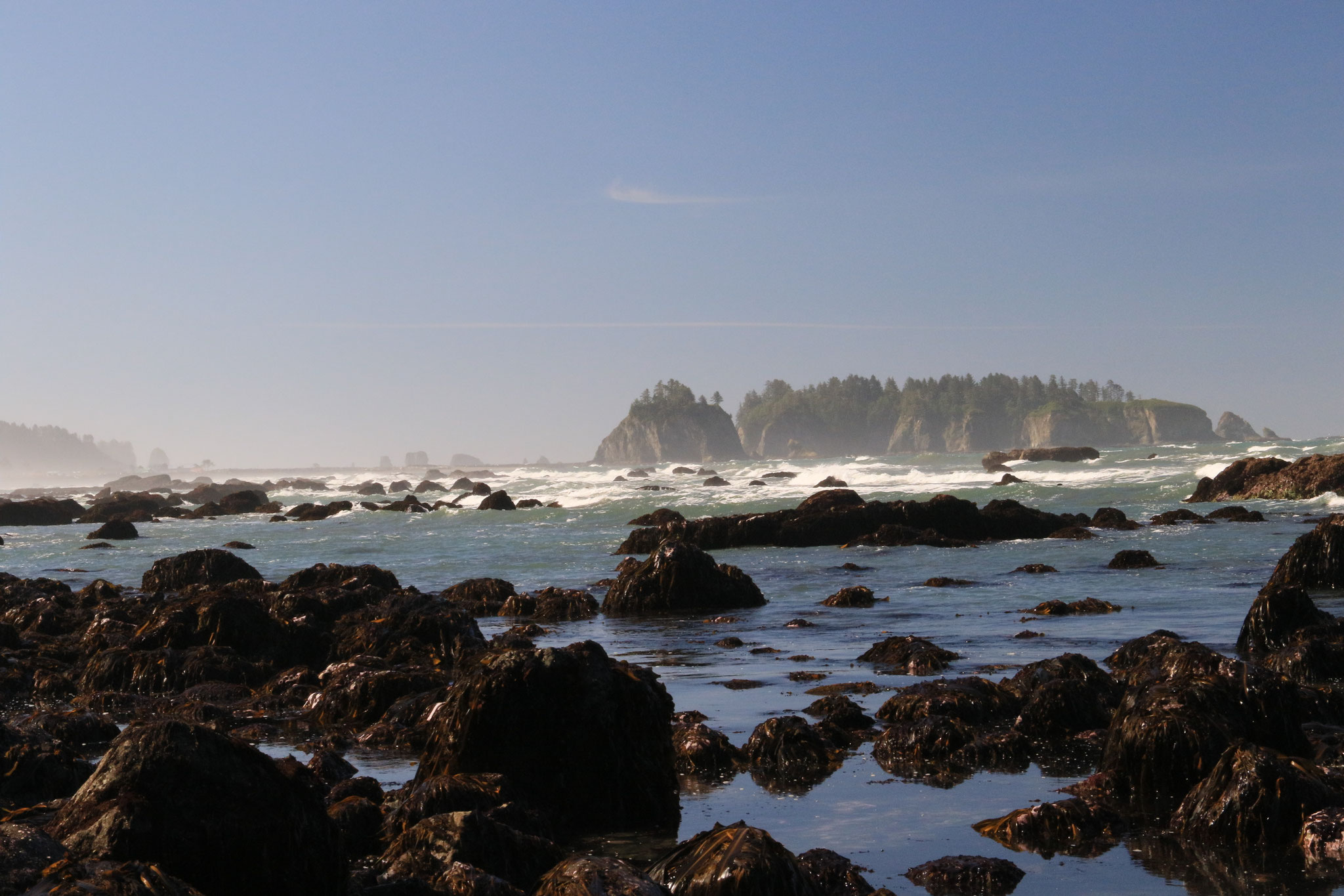 Olympic Nationalpark