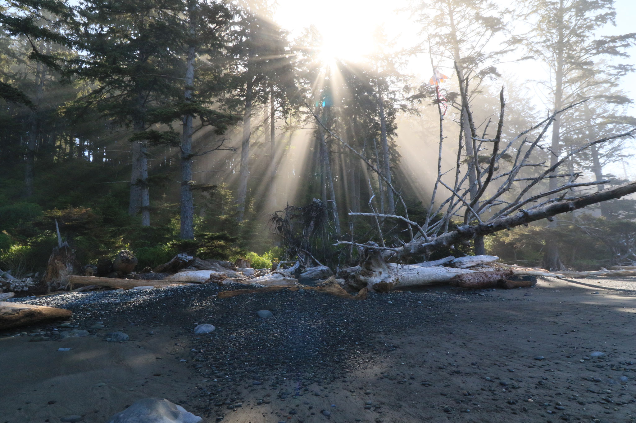 Olympic Nationalpark