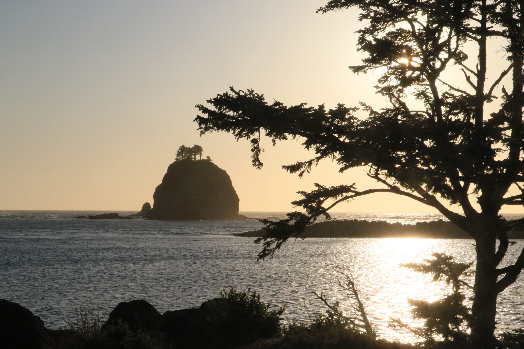 Olympic Nationalpark