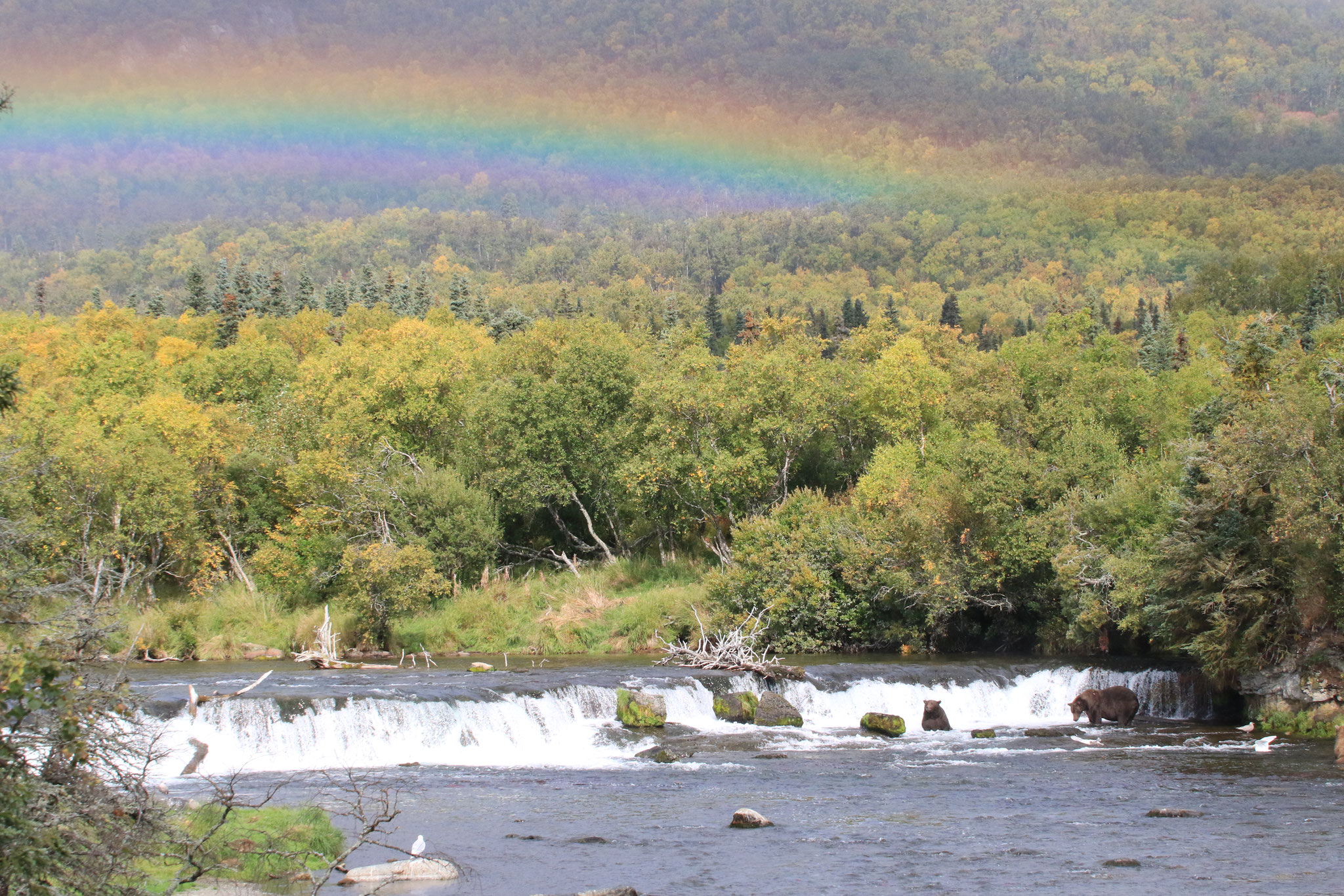 Katmai Nationalpark