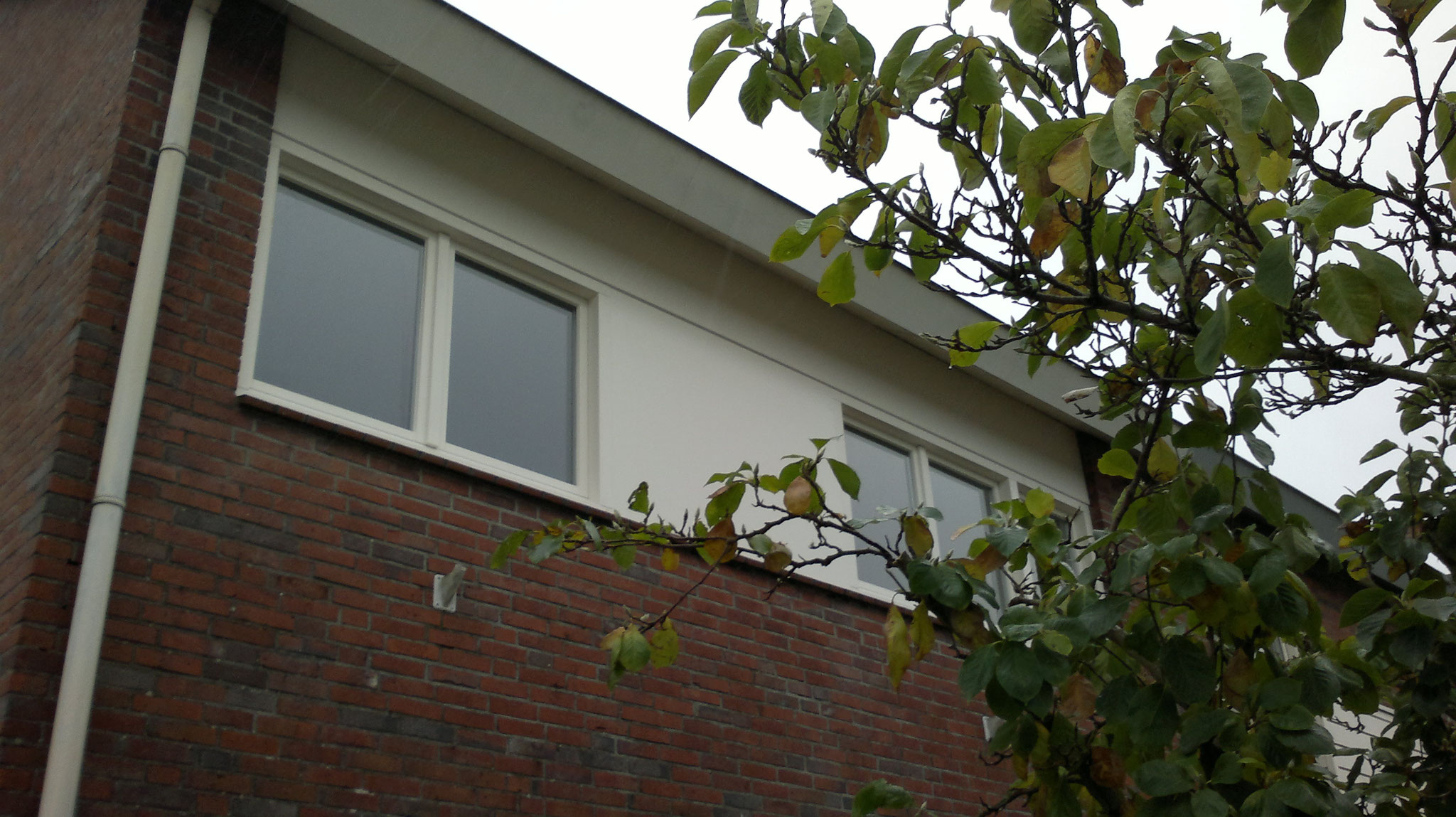 houten ramen in Schimmert
